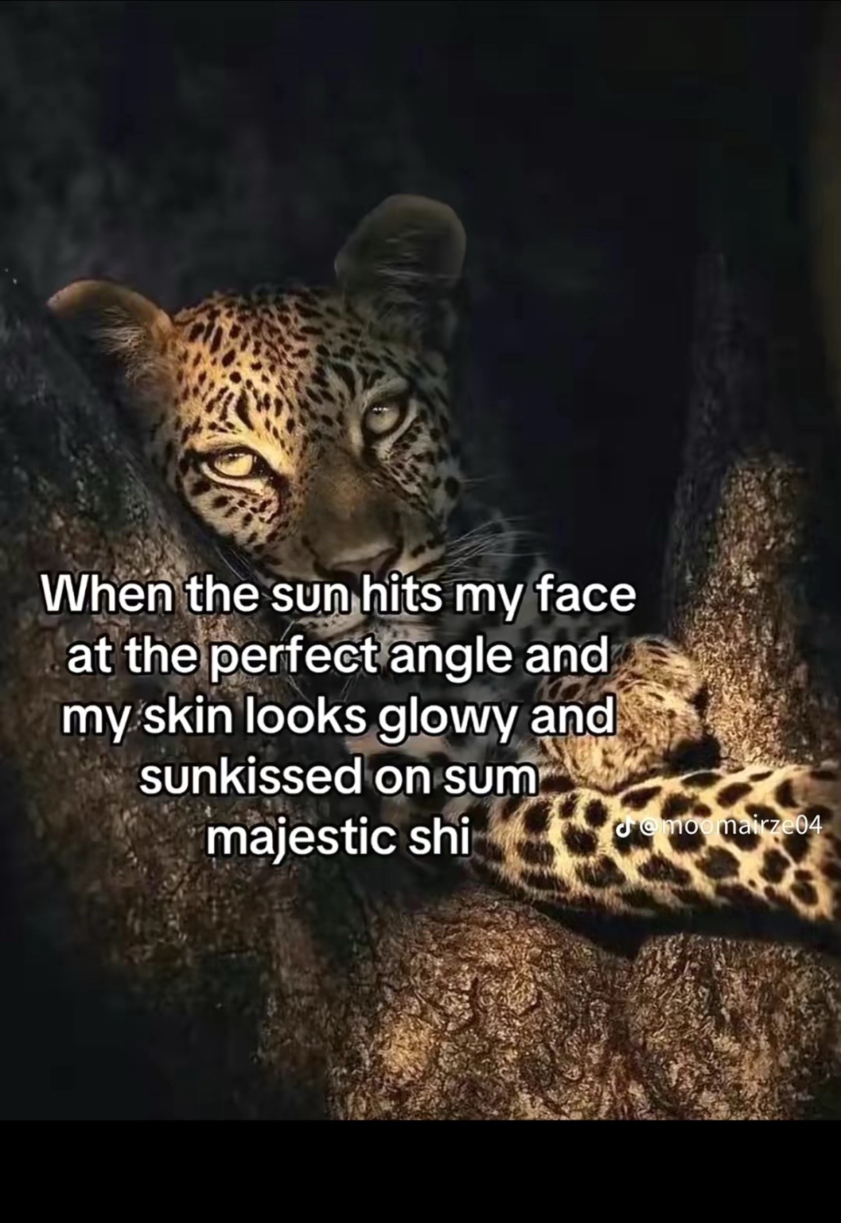 @Jayde