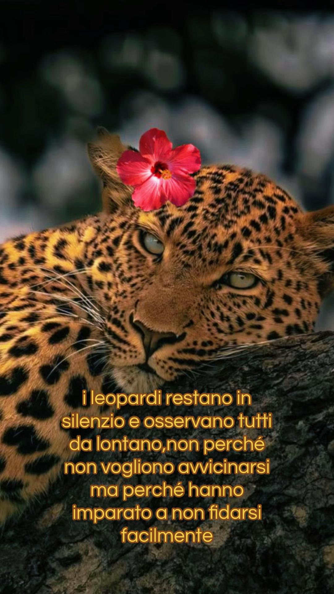@๐ชผ๐ฟ๐ฒ๐ธ๐ต๐โ