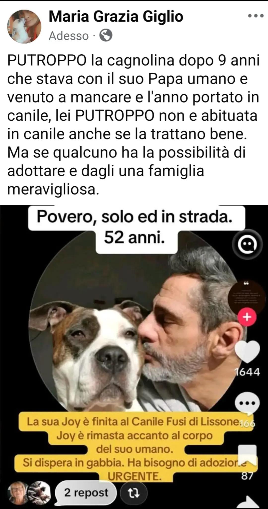 @Maria Grazia