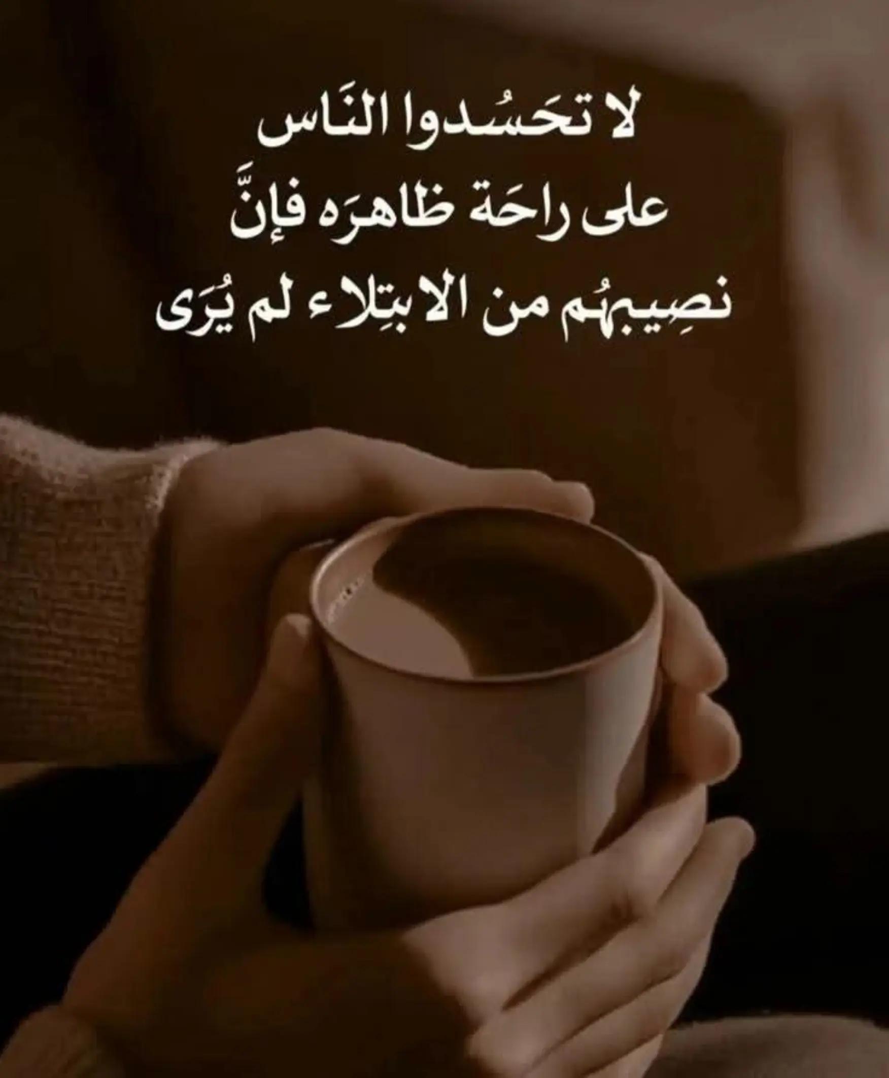 @طائر النورس