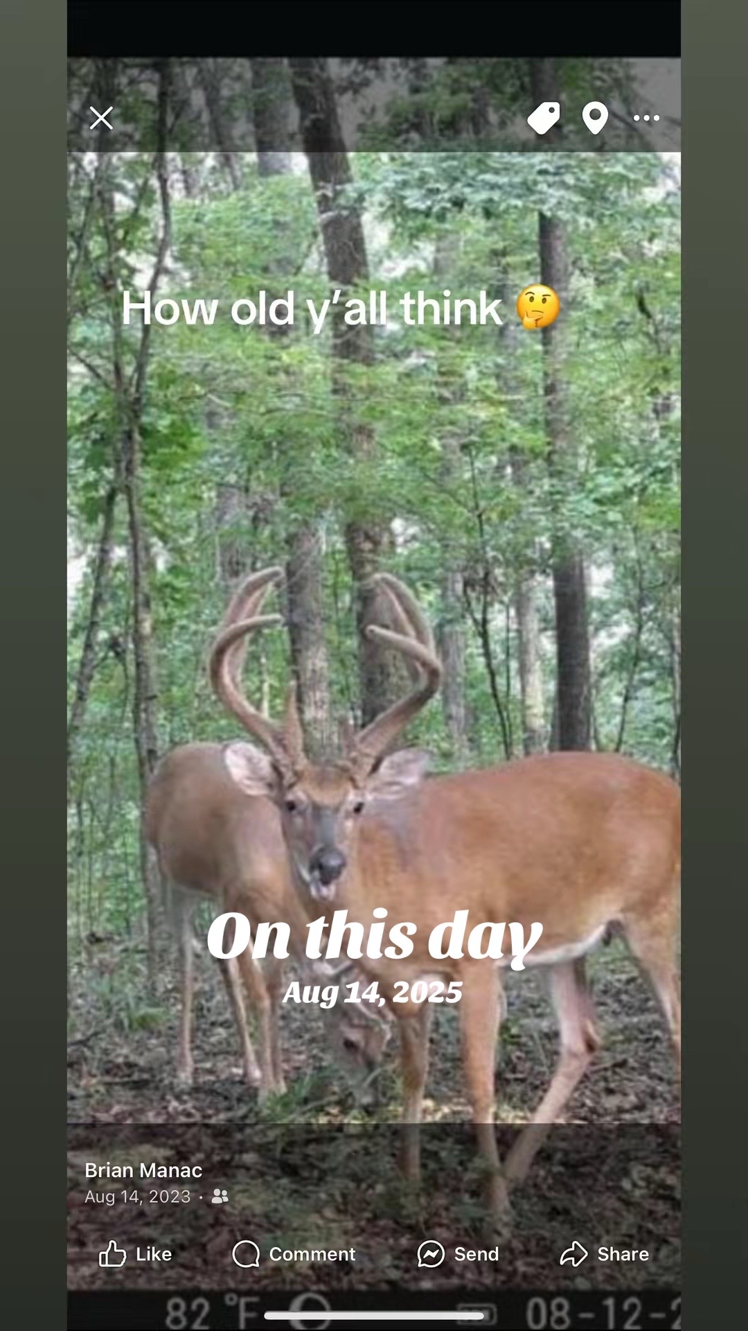 @GEORGIA STRING STALKER
