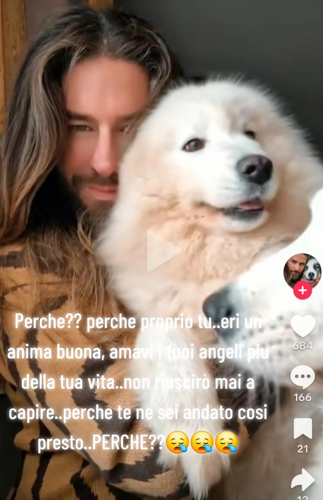 @elisabettasilves6