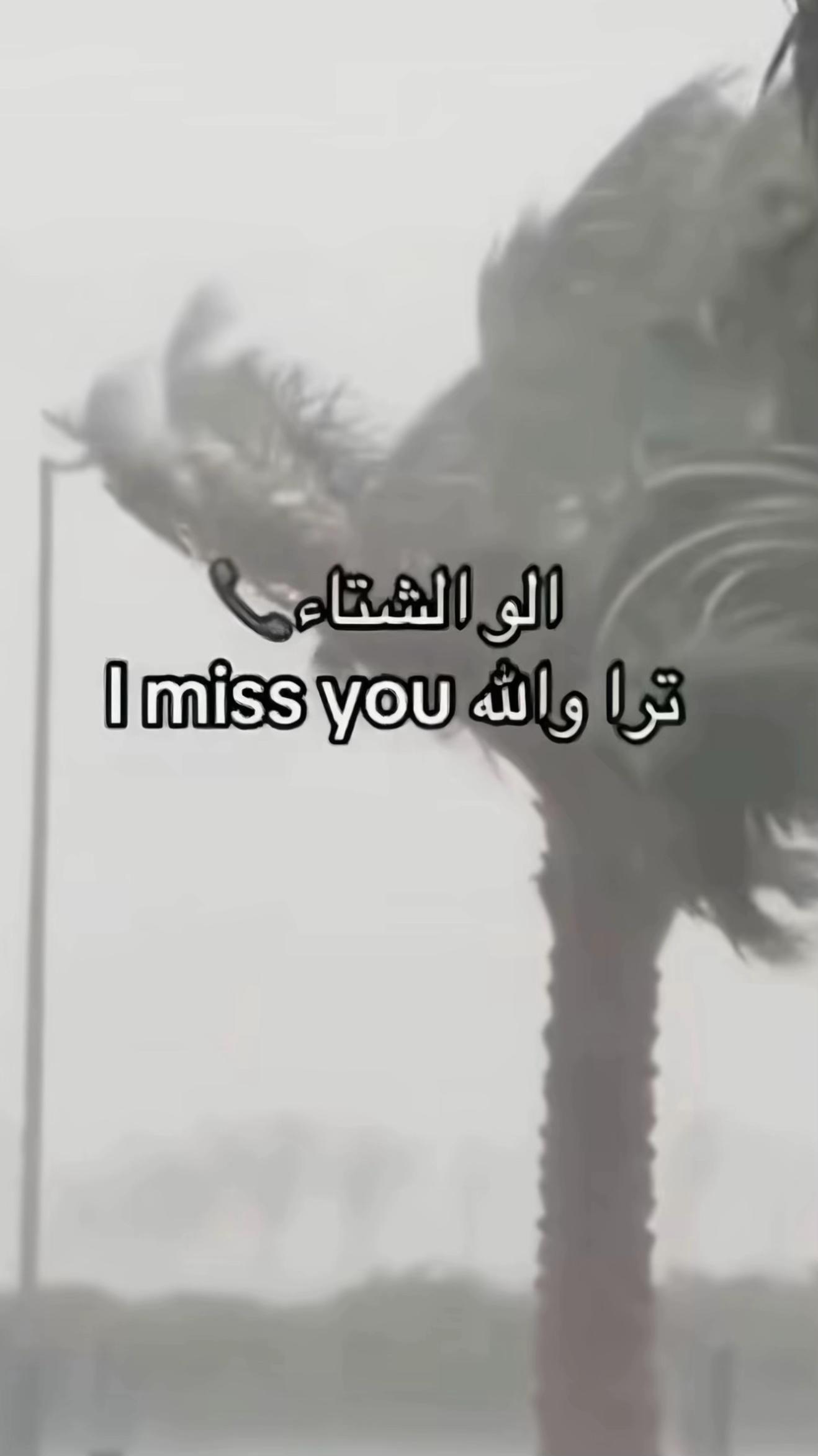 @Basset_mmne_31โ๏ธ