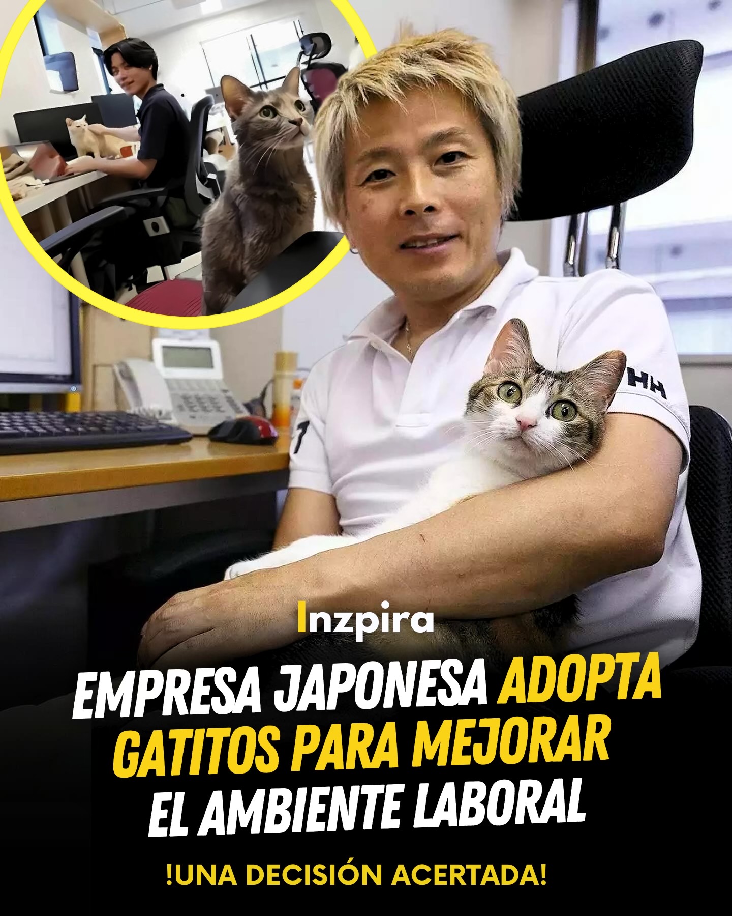 @inzpira.oficial