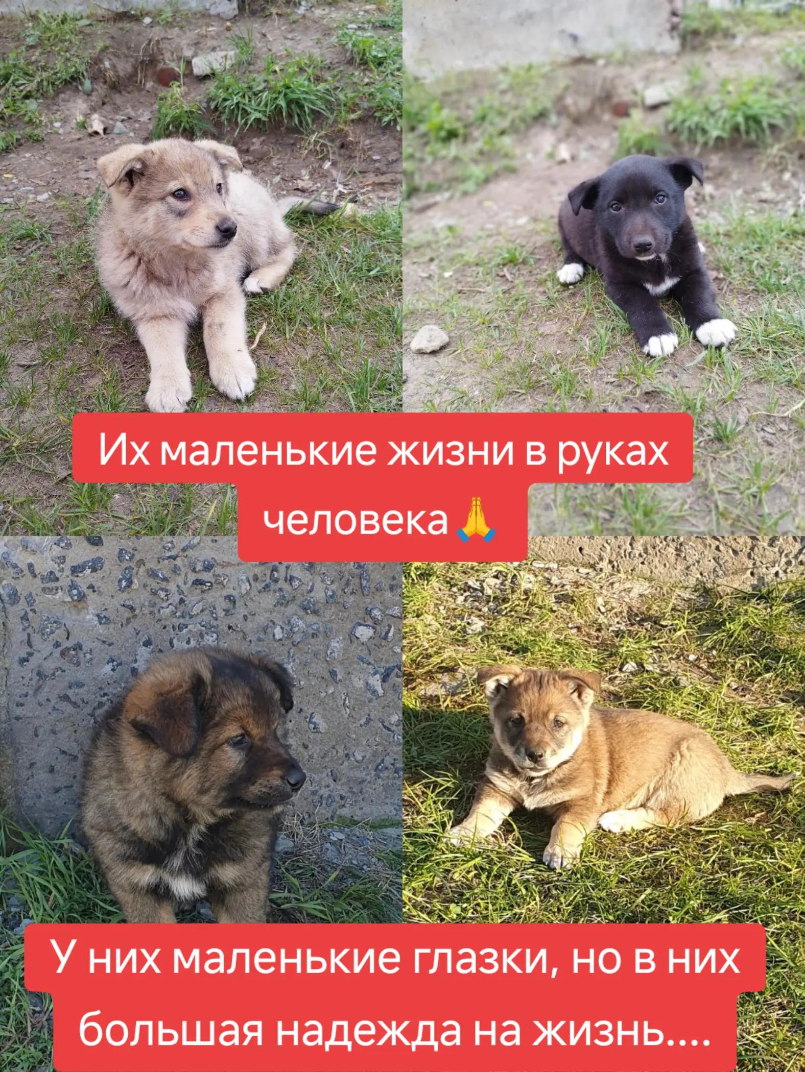 @Светлана Козлова