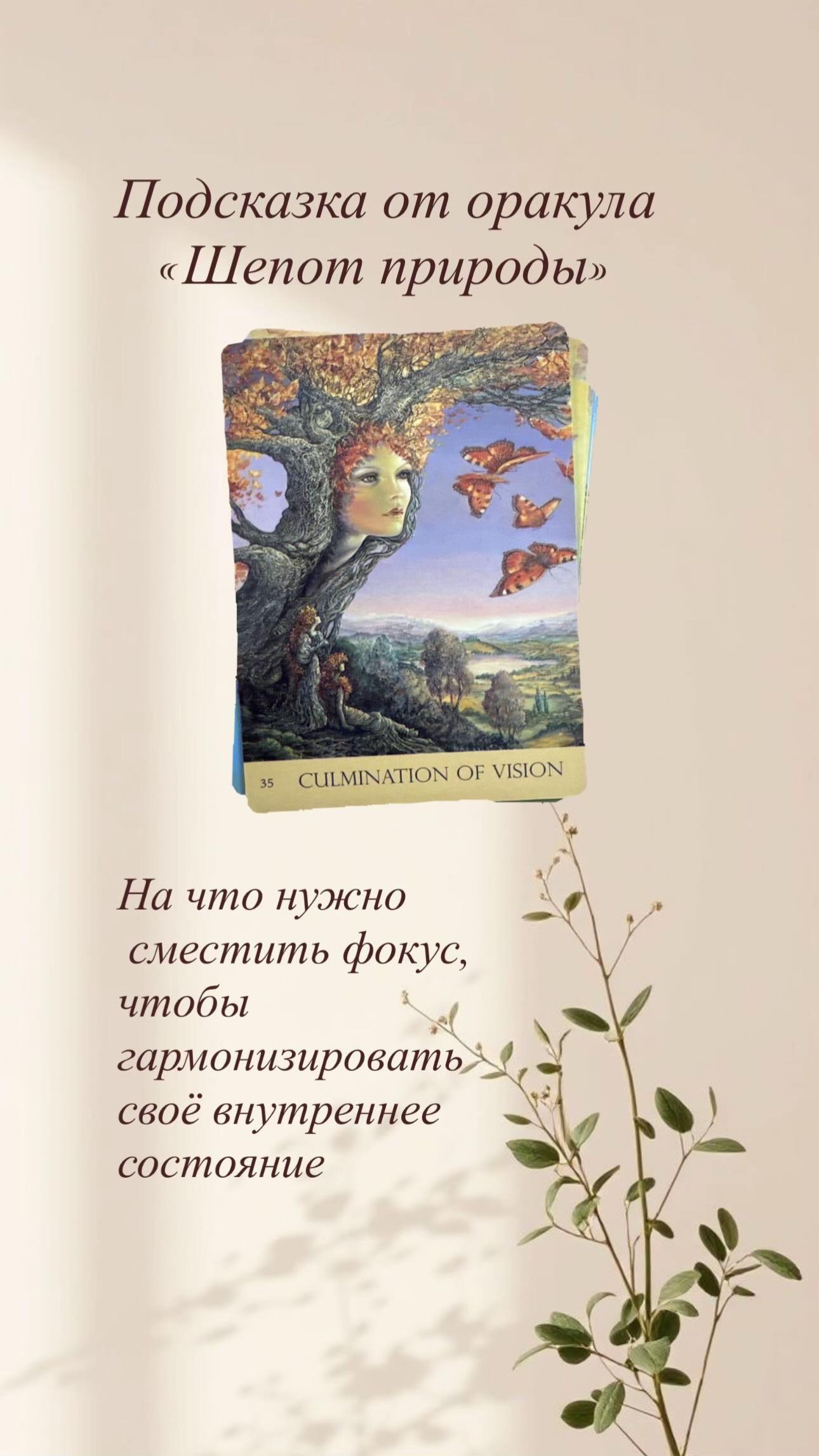 @🌿лесная ведьма🌿frejamagic