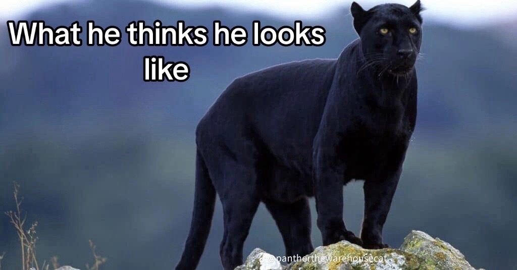 @Katdenningsburd