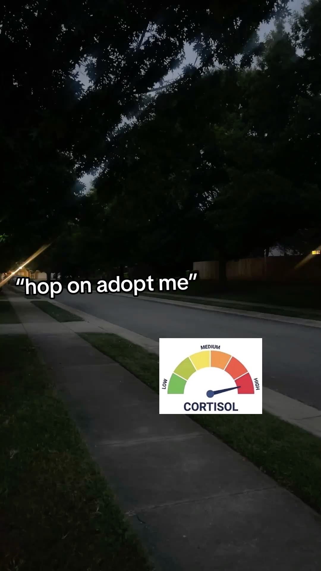 @june 1st