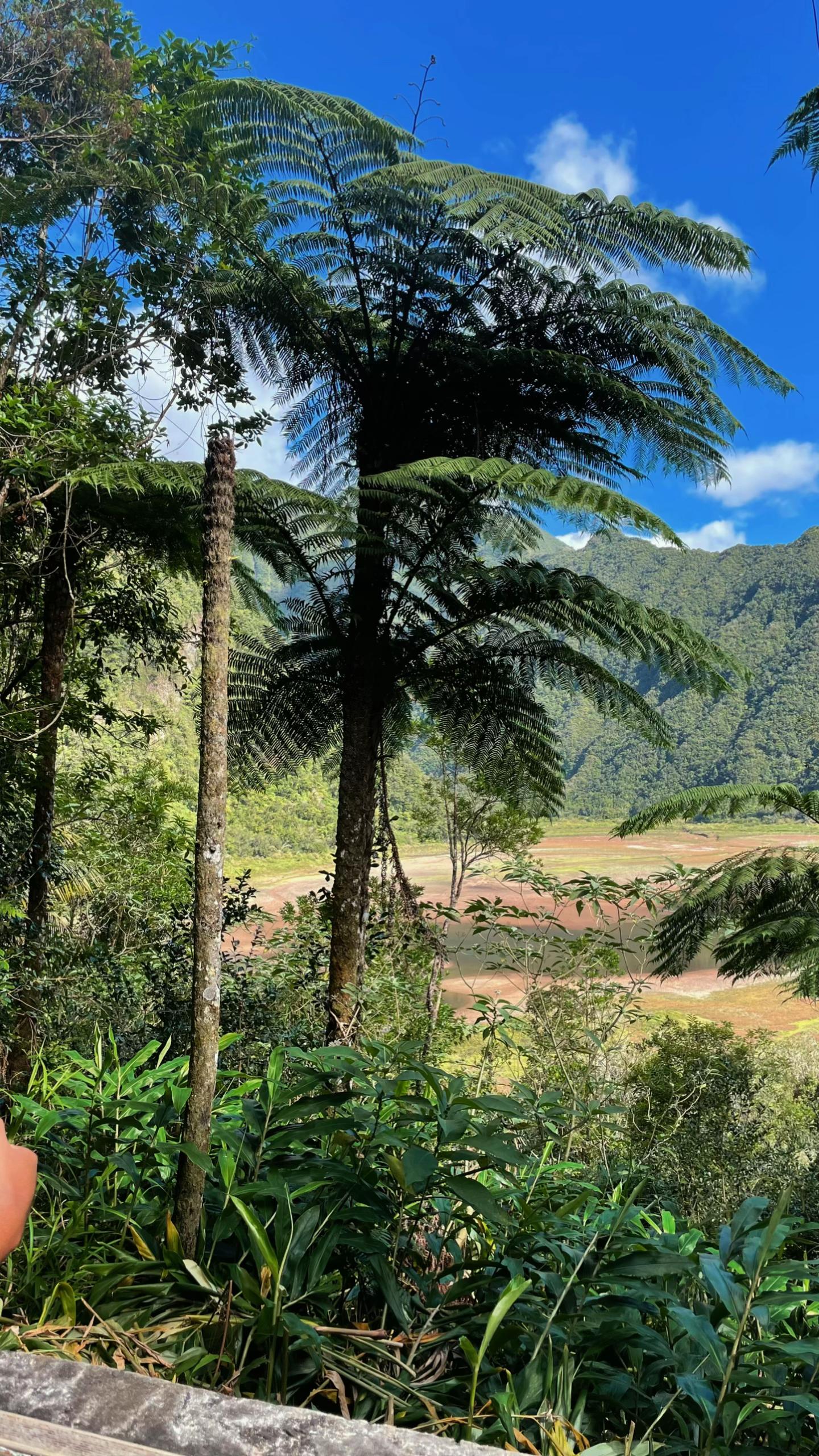 @𝐏𝐨𝐞𝐡𝐞𝐫𝐞
