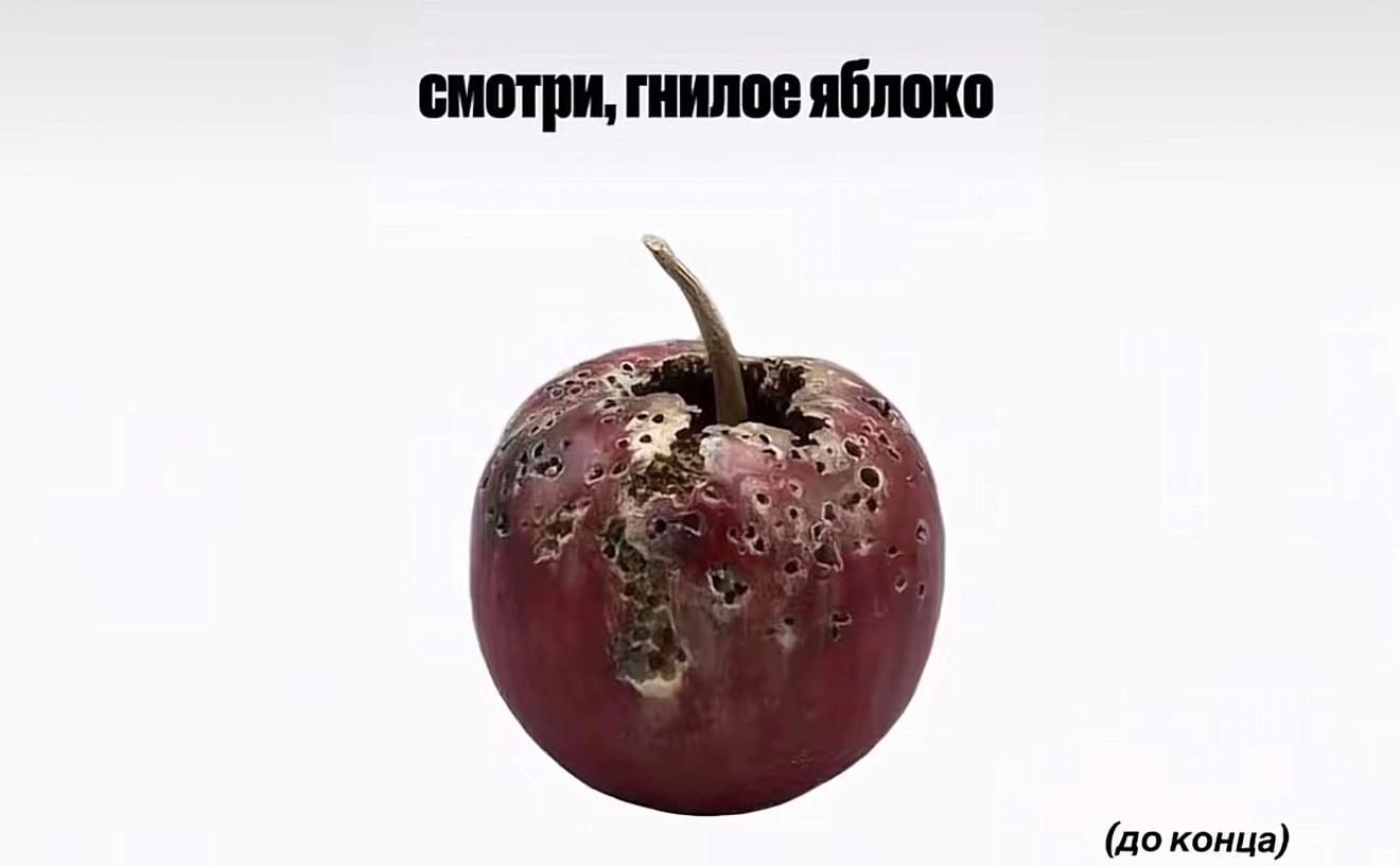 @тгк blairworld
