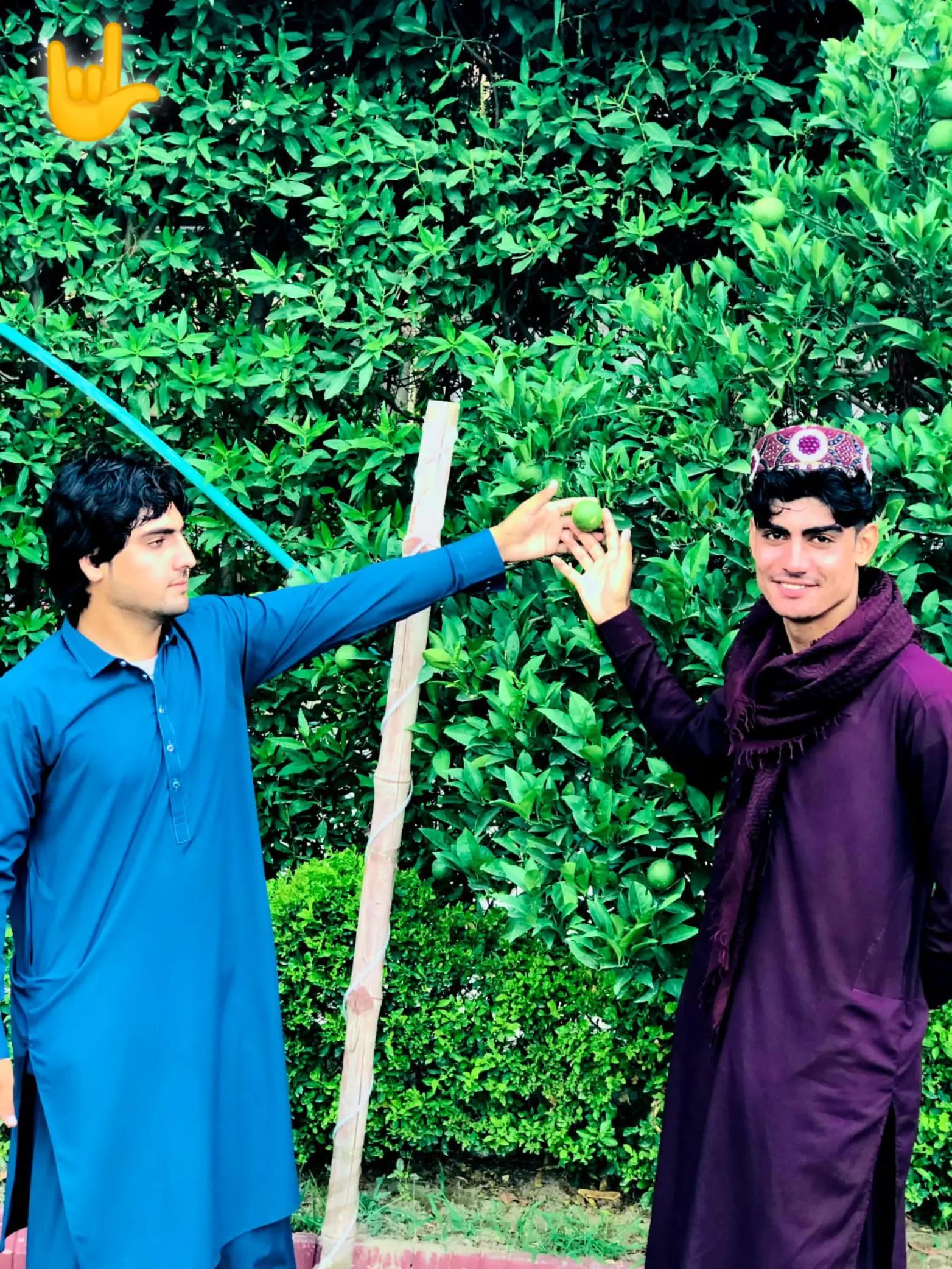 @{SHAHZIB}{KING}