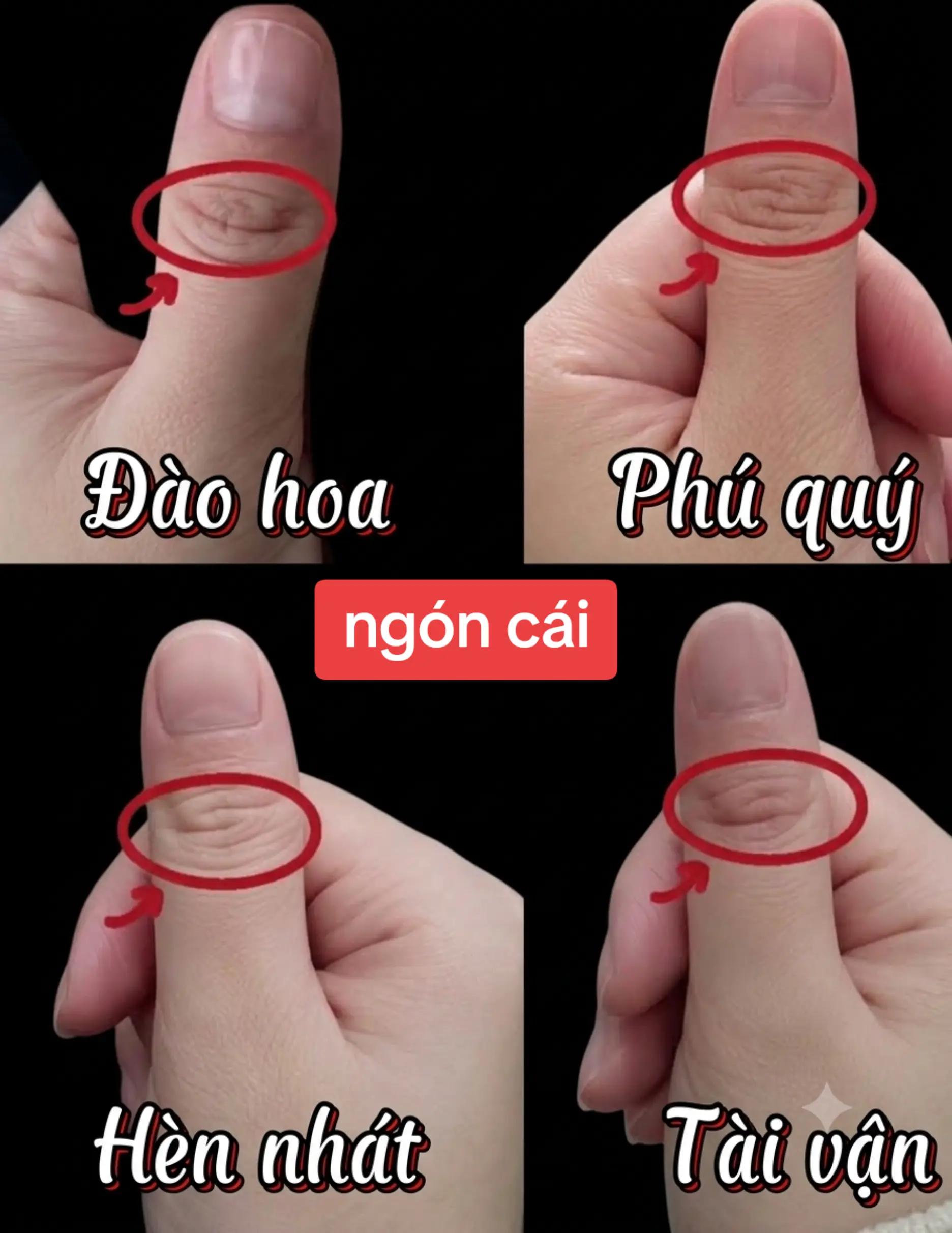 @Nhân Tướng Sửa Mình (Đỗ Lâm)