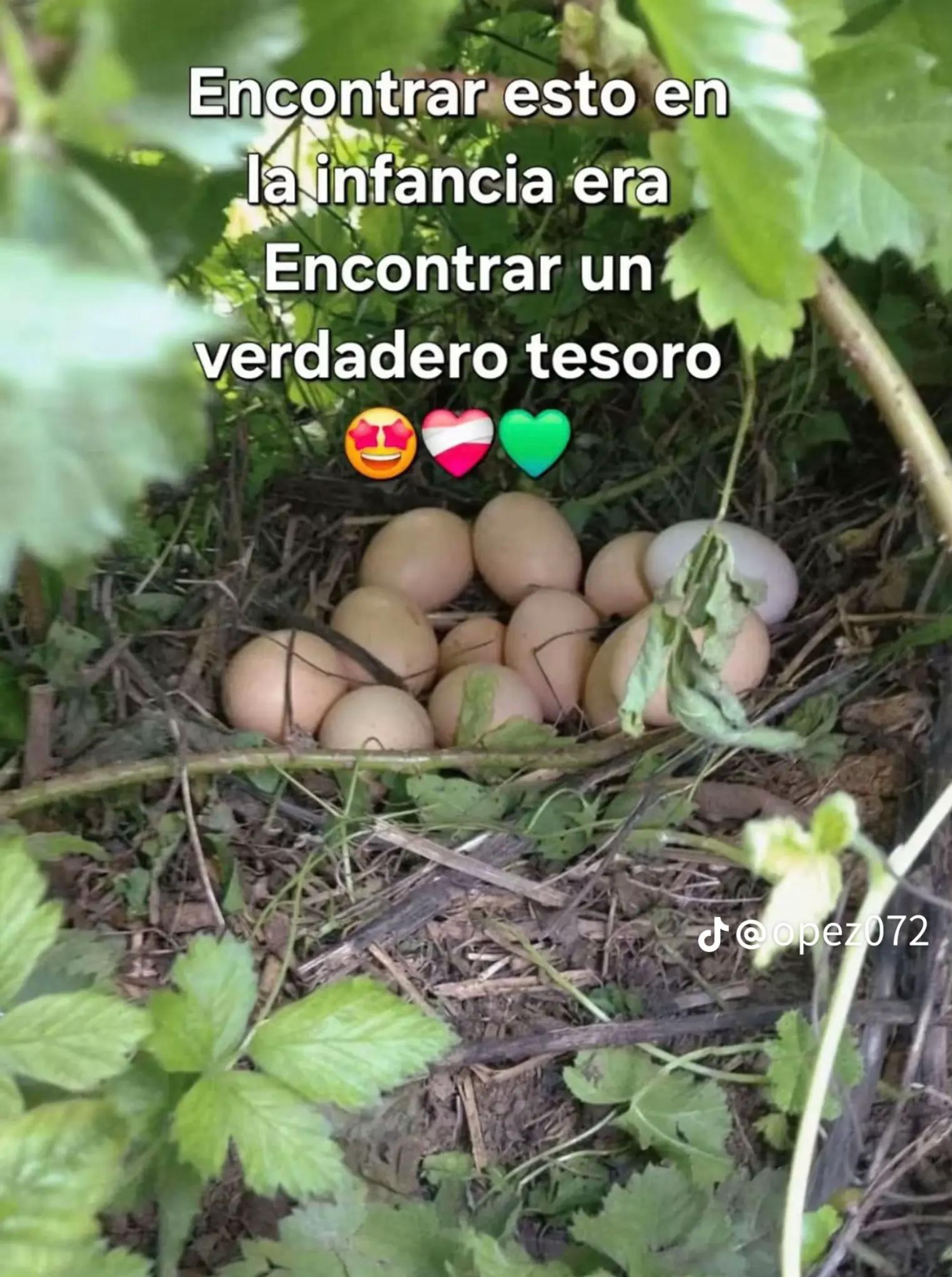 @vanessa 🌵🌻🍃