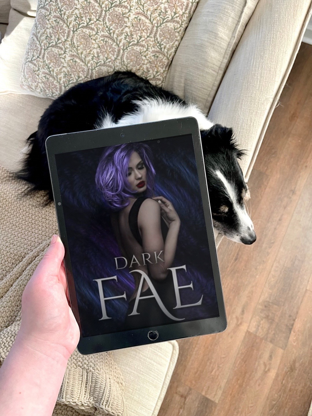 @goodreads.with.archie📚