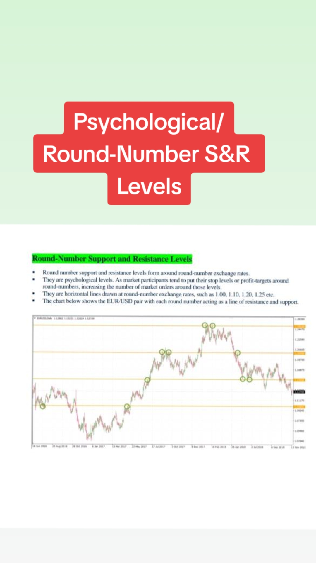 @TrendSurge