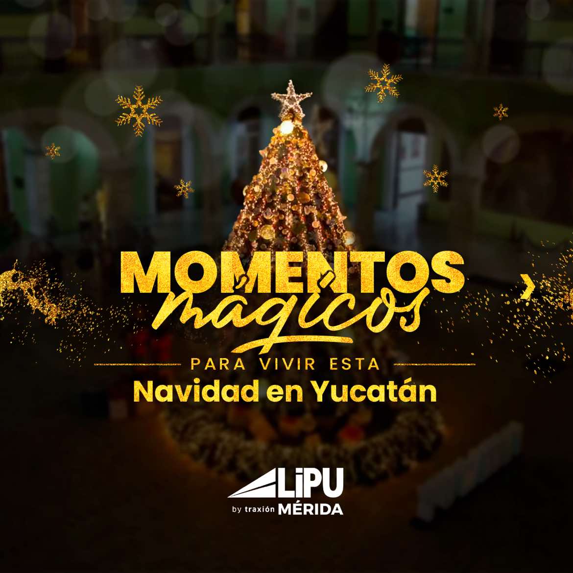 @Lipu Merida
