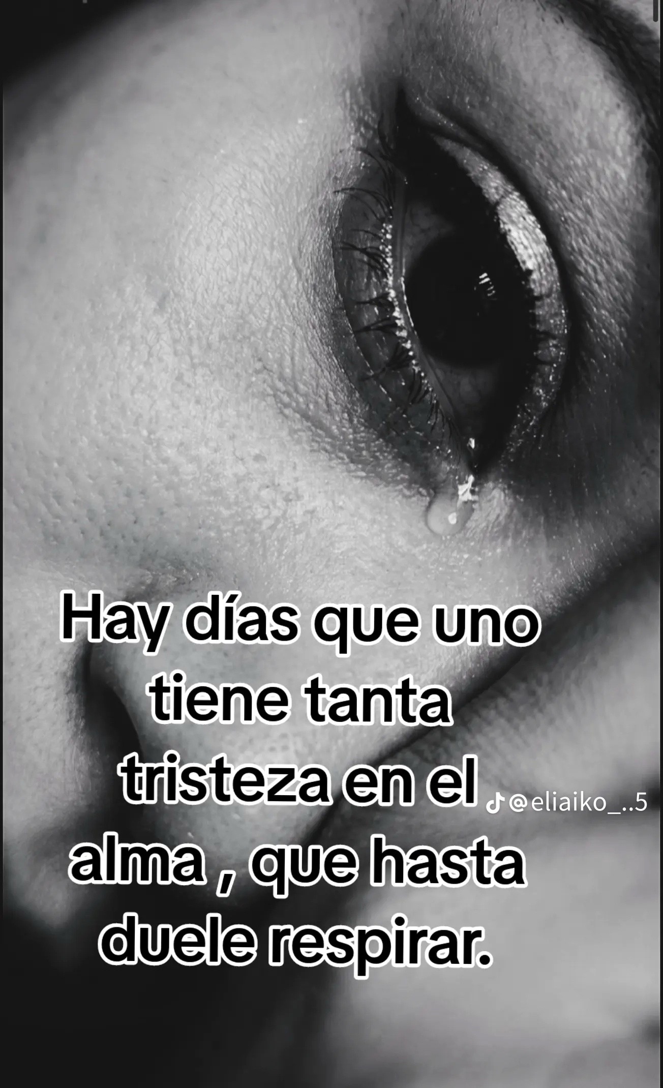 @🐚🐚@GRACIELA ÁVALOS MICHEL🐚