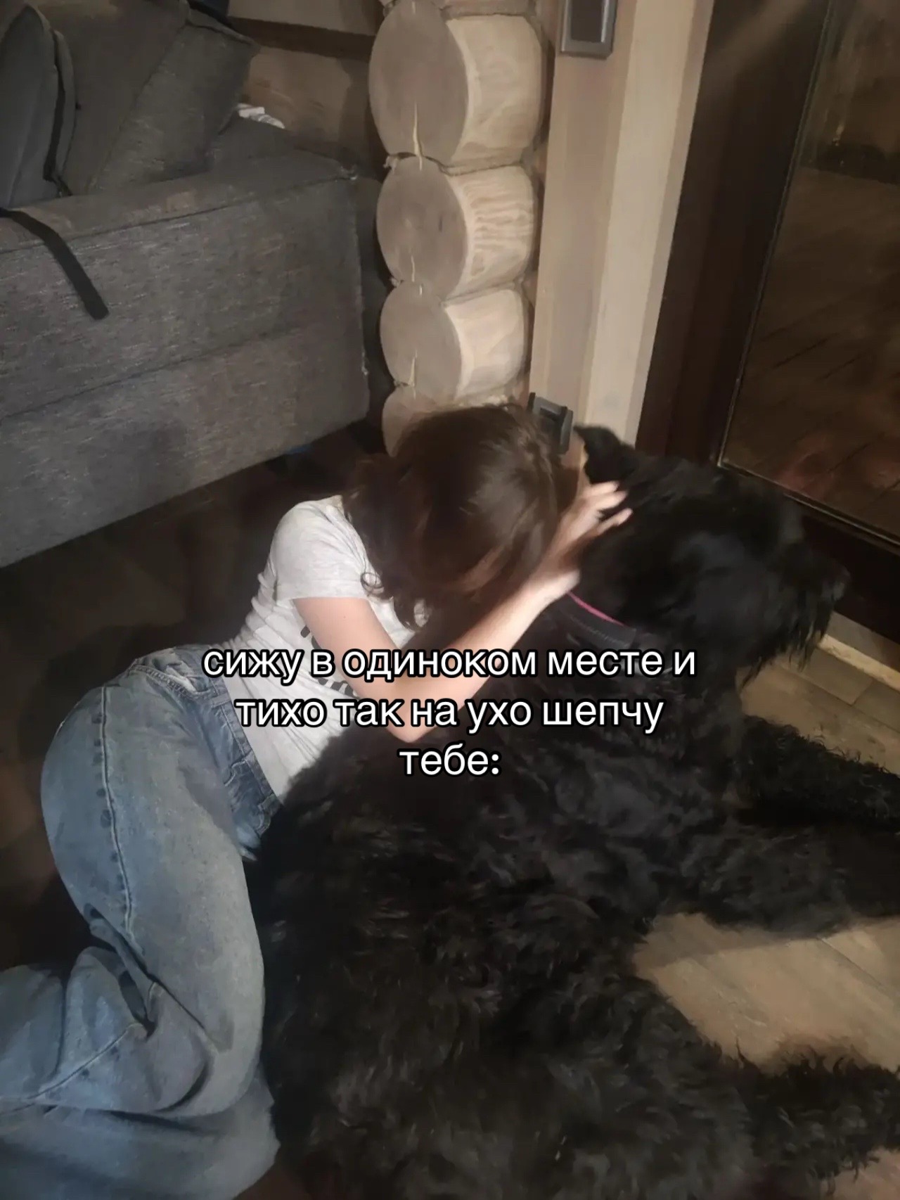 @user86655460497