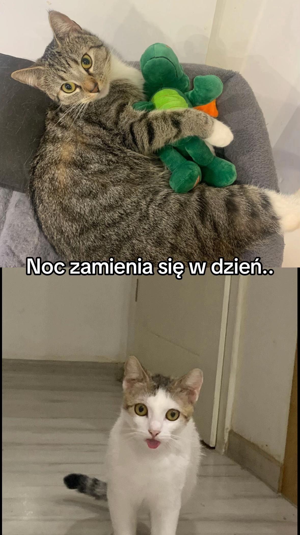 @Hałkaelo⁶⁷