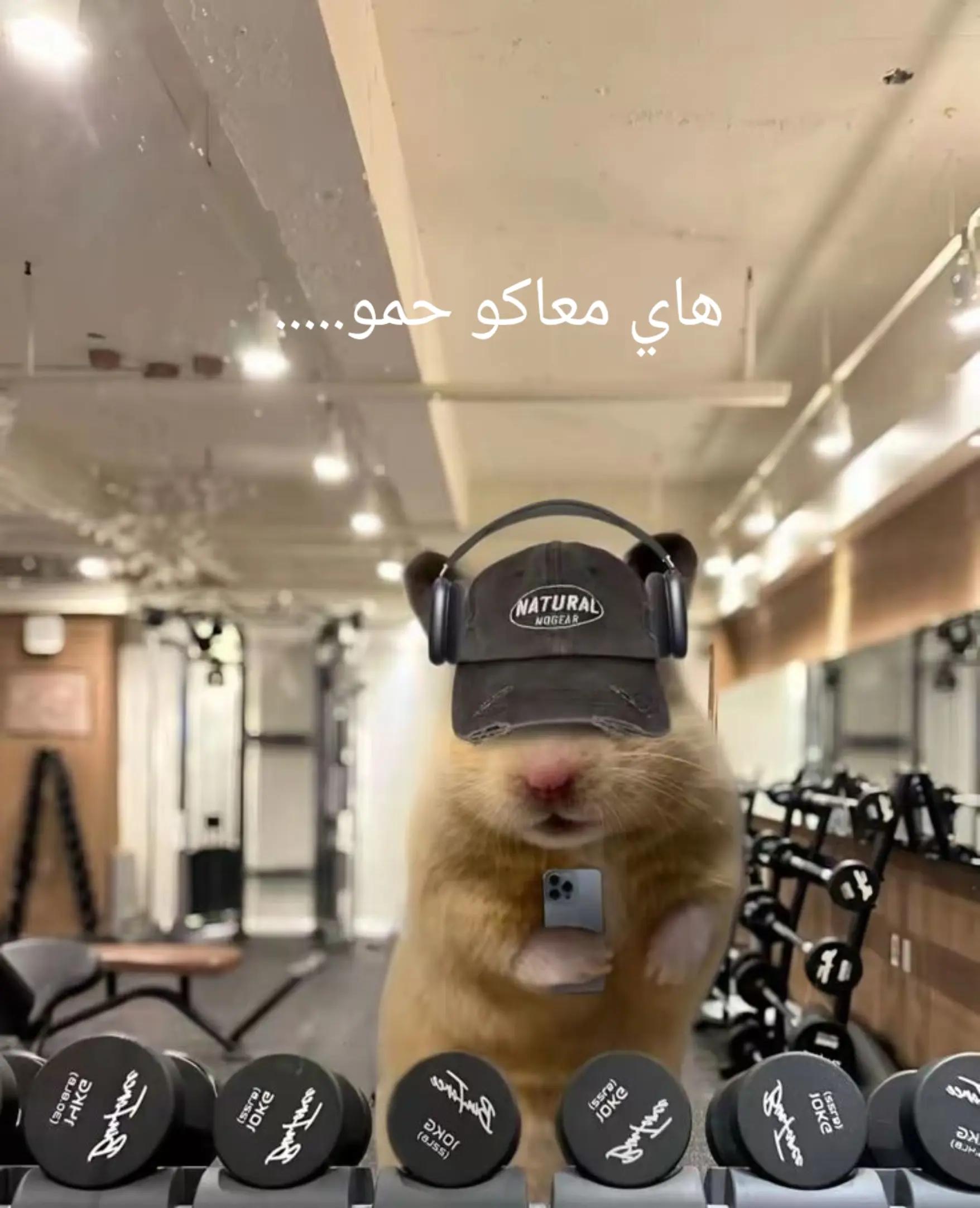 @๐๐๐๐ ๐ฆ
