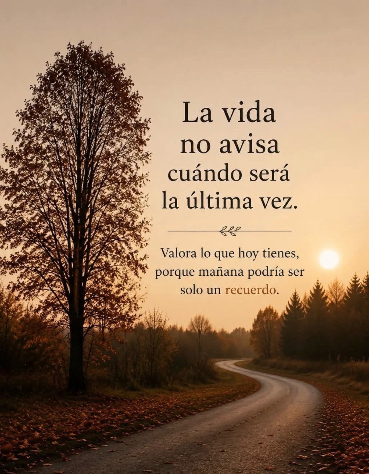 @🙏🏼 Jesús la luz del mundo 🌎