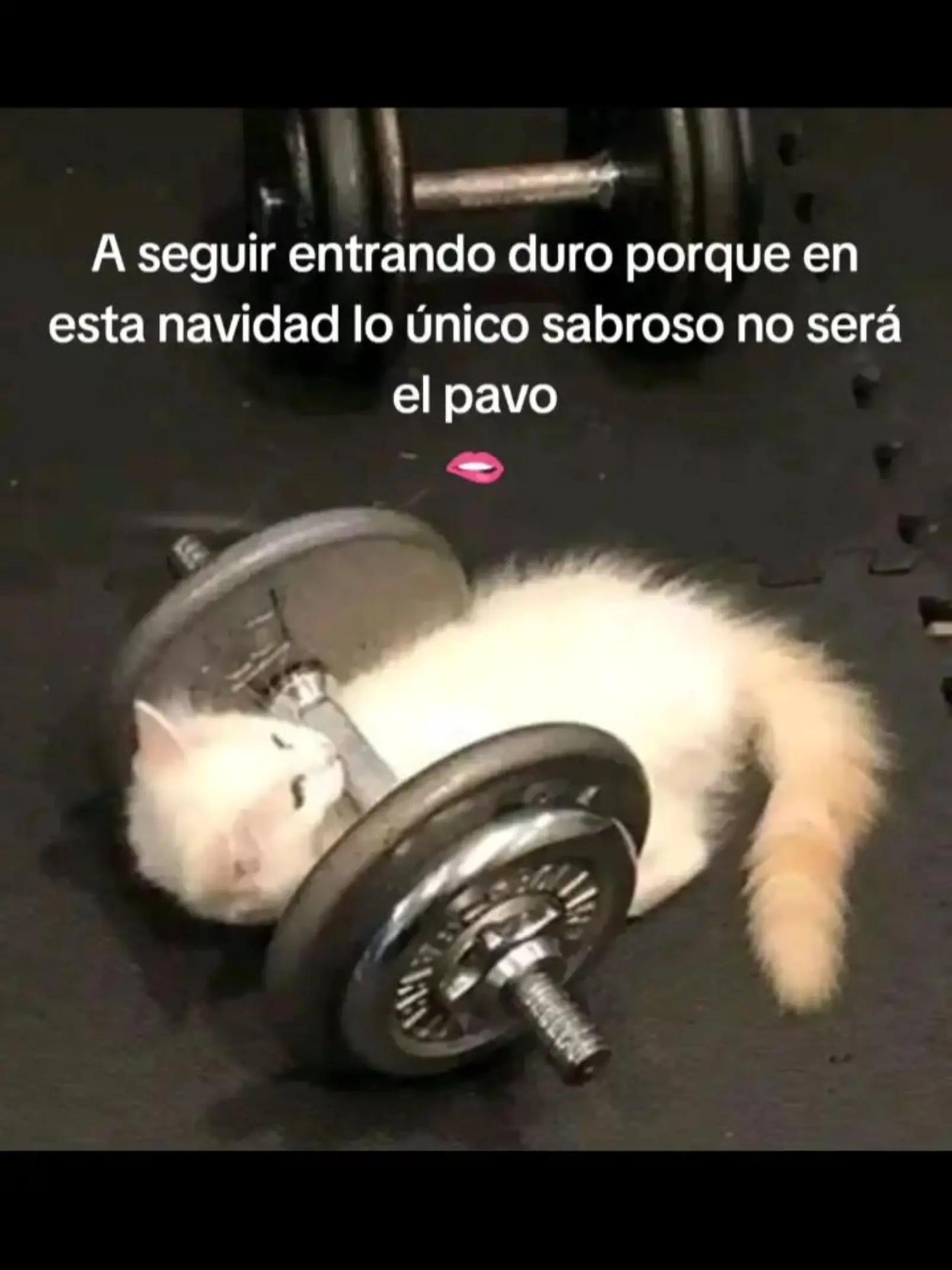 @yuliocesar029