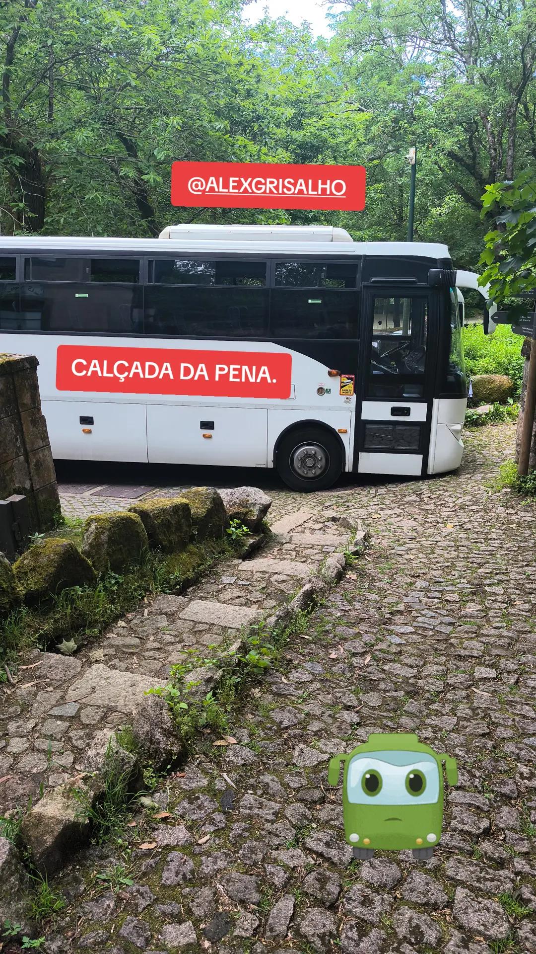 @ALEX GRISALHO
