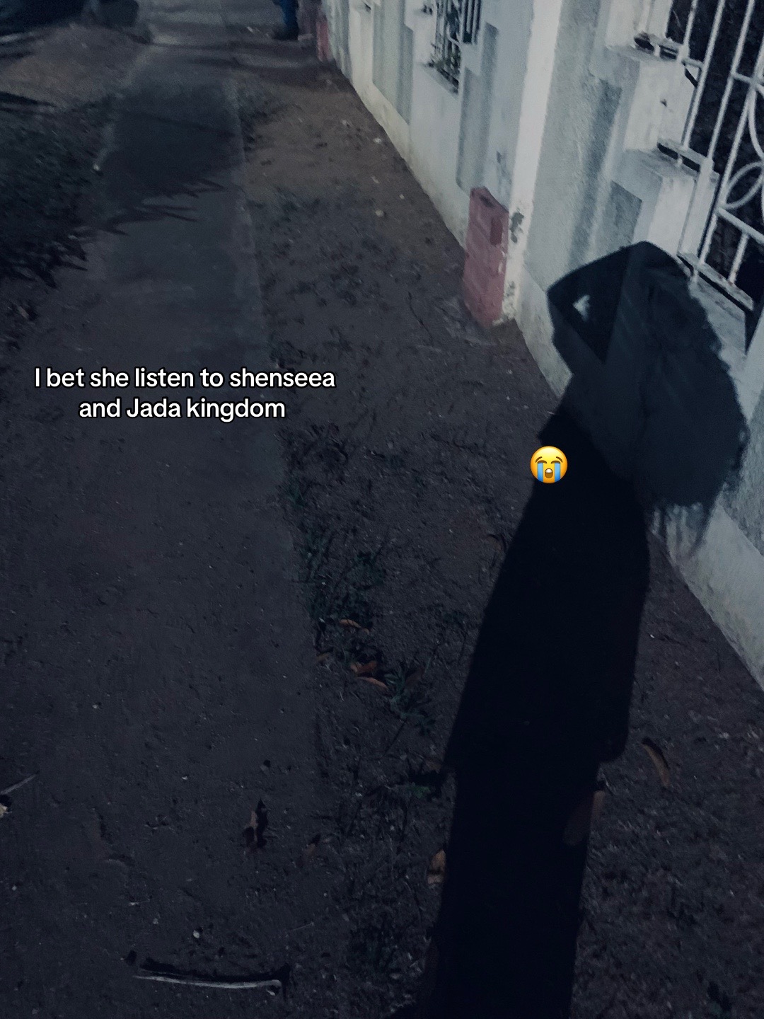 @Luv.4bri._