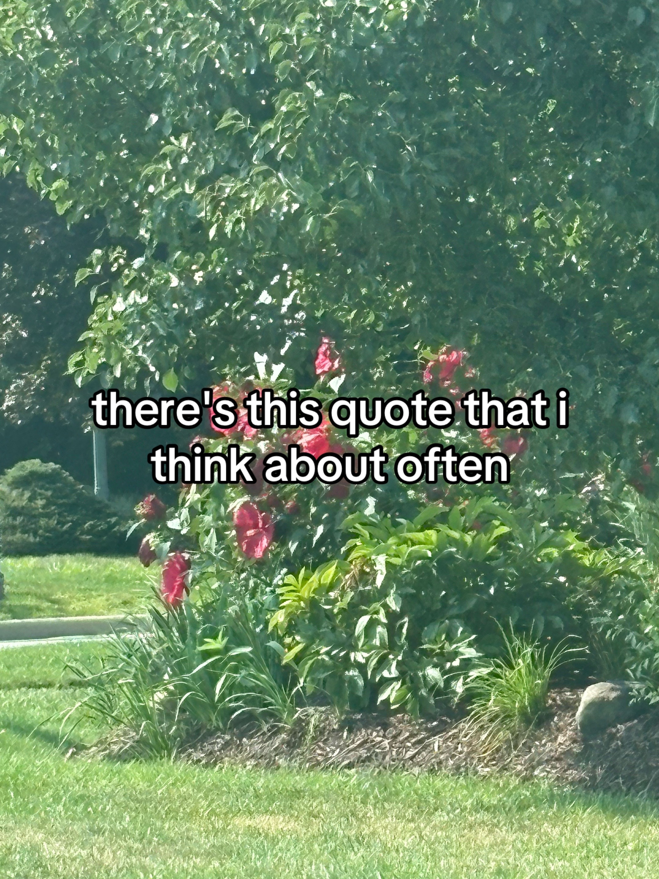 @nick