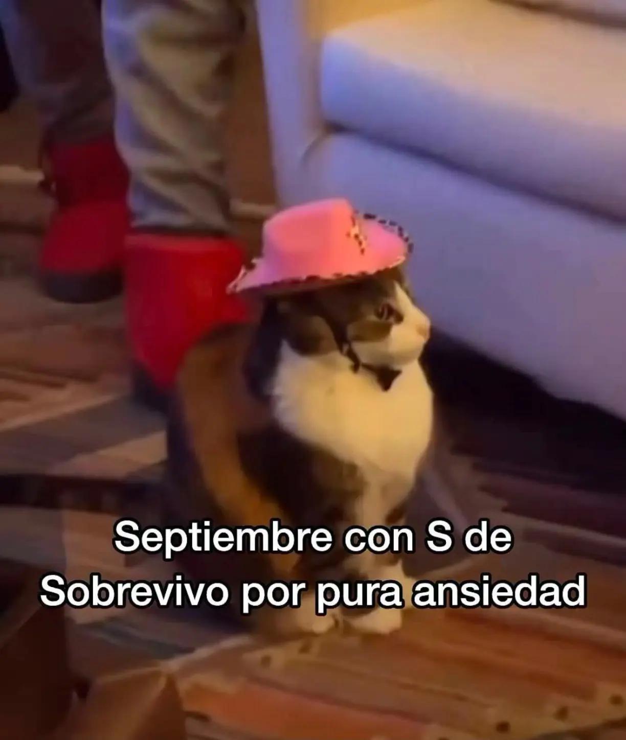 @Chicle de menta ๐๐