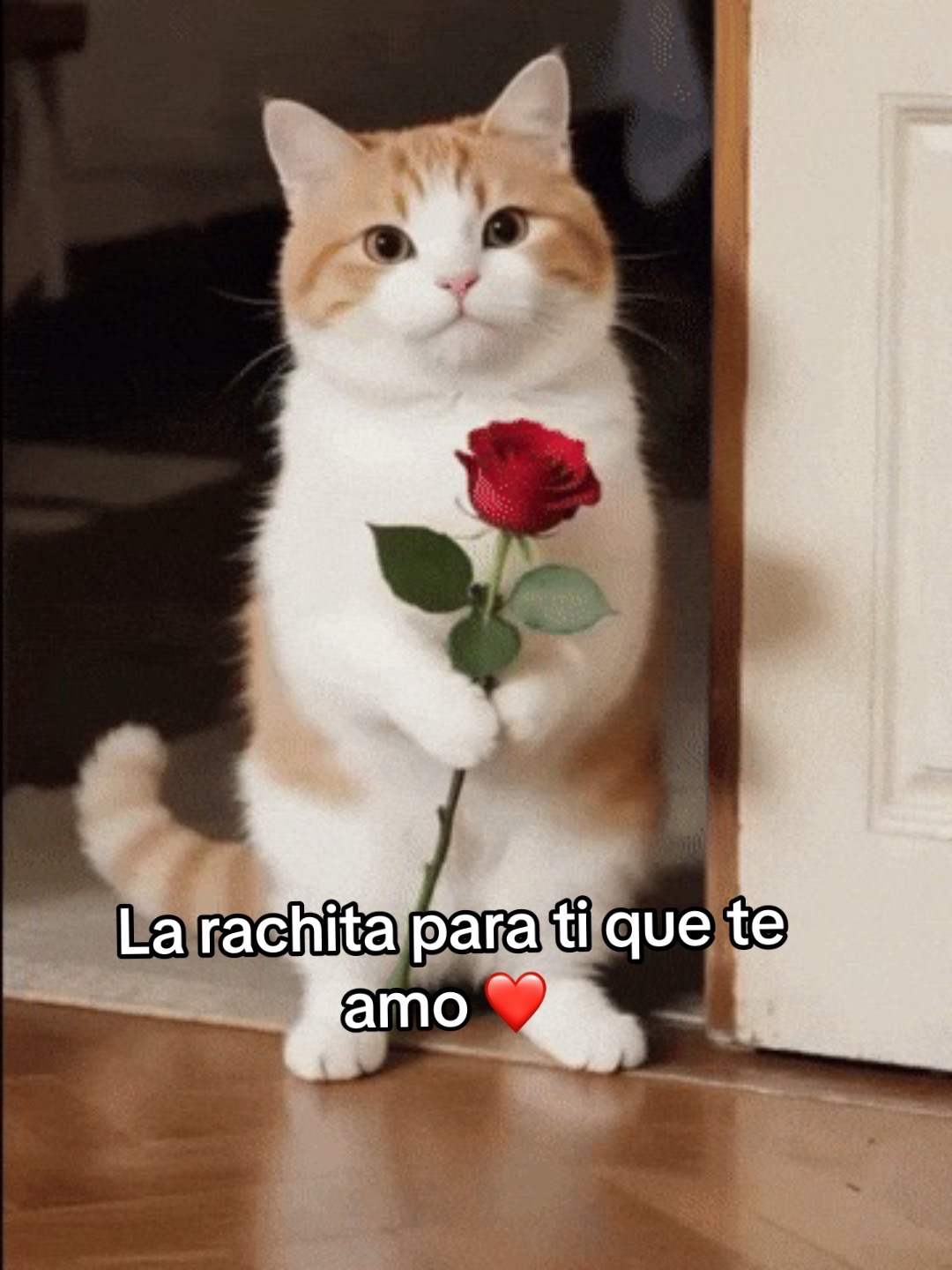 @Ayer 🫣🤣