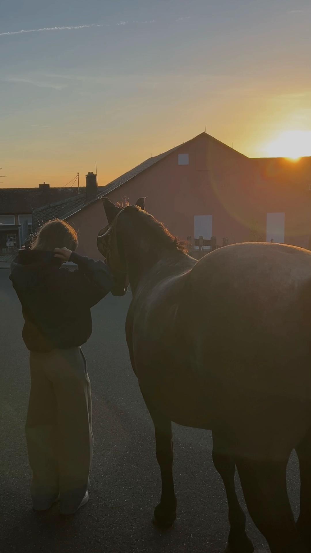 @leona_equestrian
