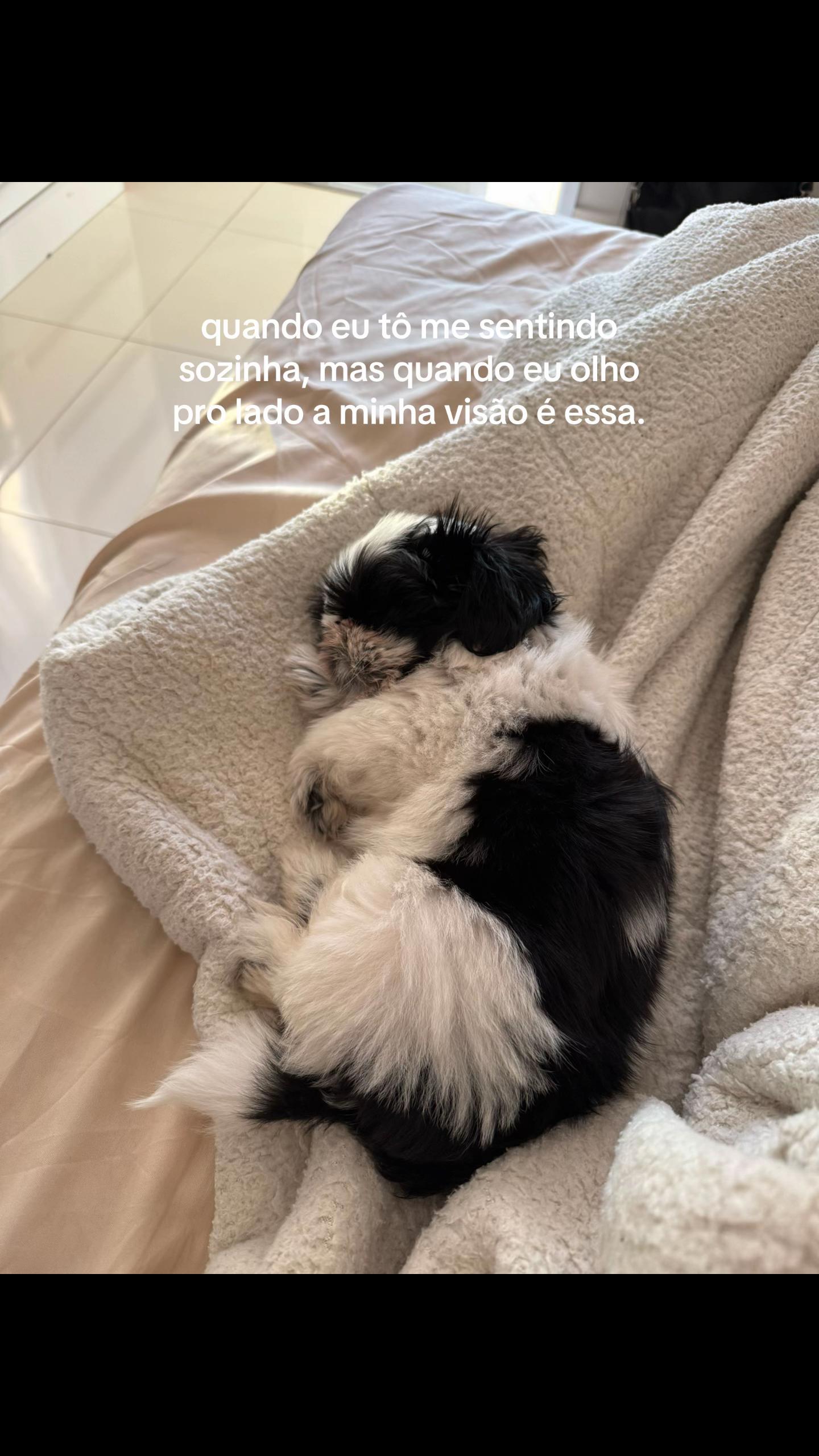 @Paulaa