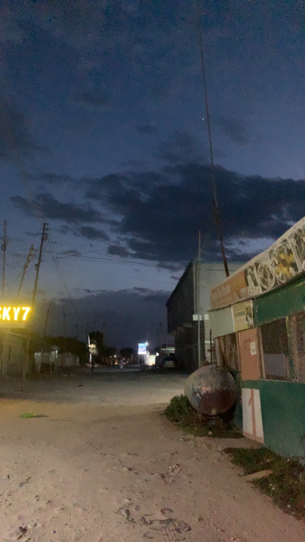 @Thamm🦇