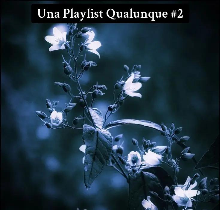 @unfonofiloqualunque
