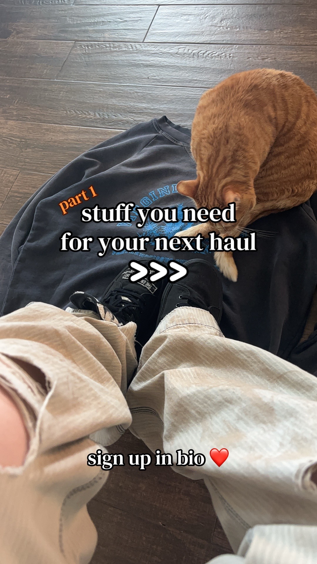 @🐈