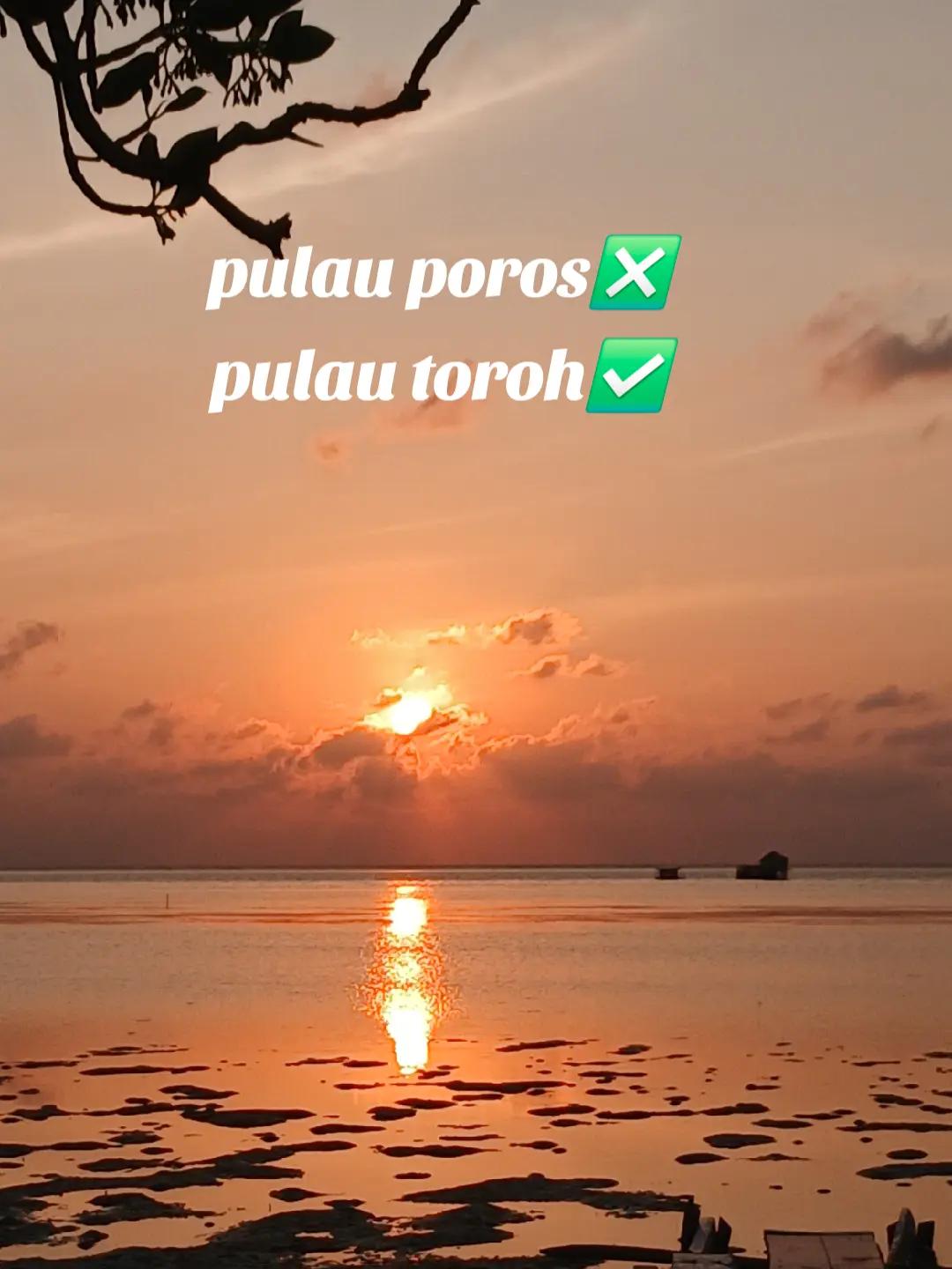 @nonsayu🦀