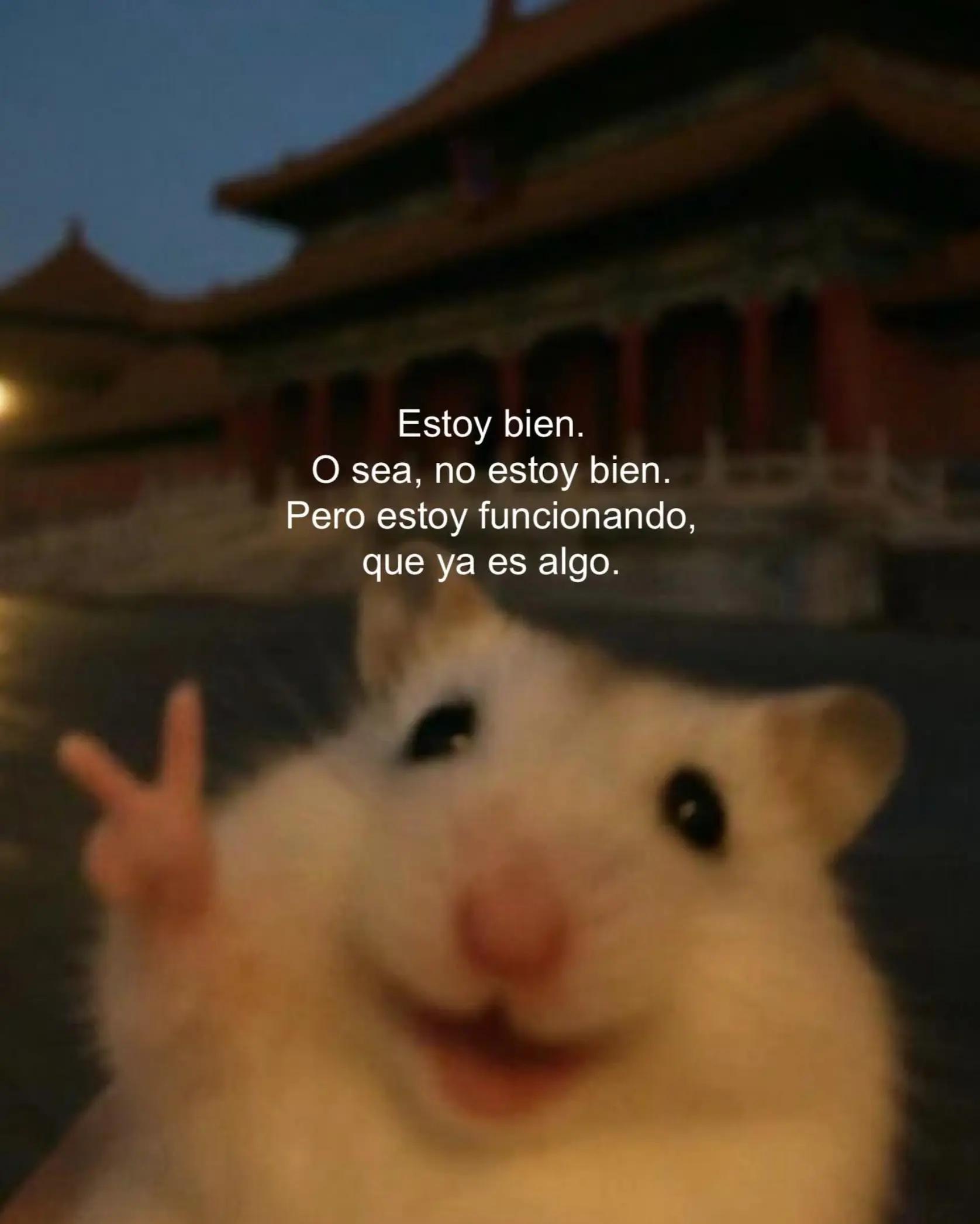 @Angel C.53