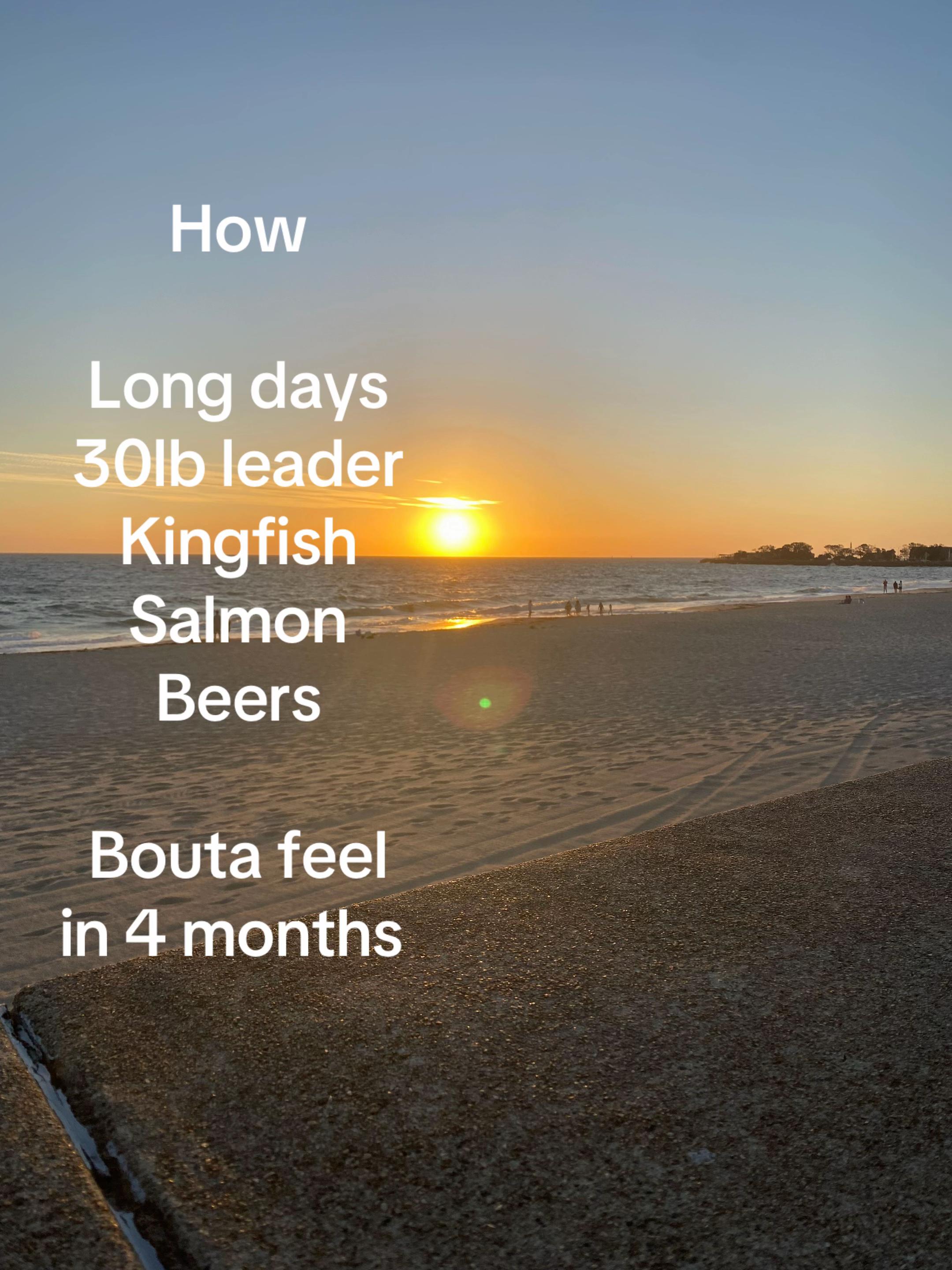 @fishing_southtas