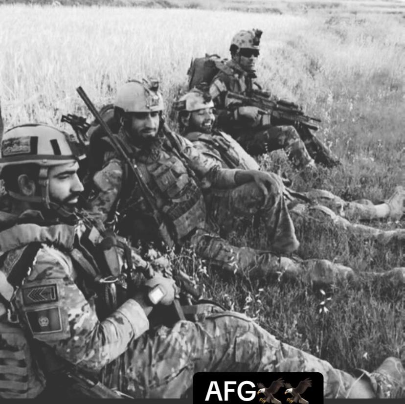 @himat afghan