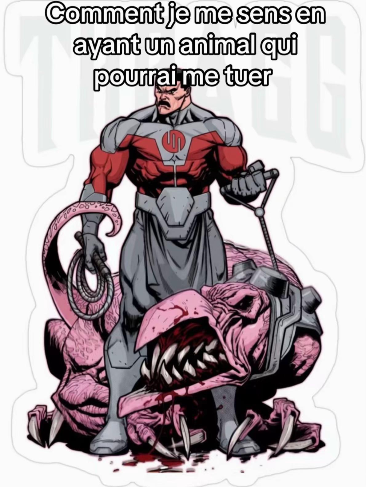 @tom_frg_15