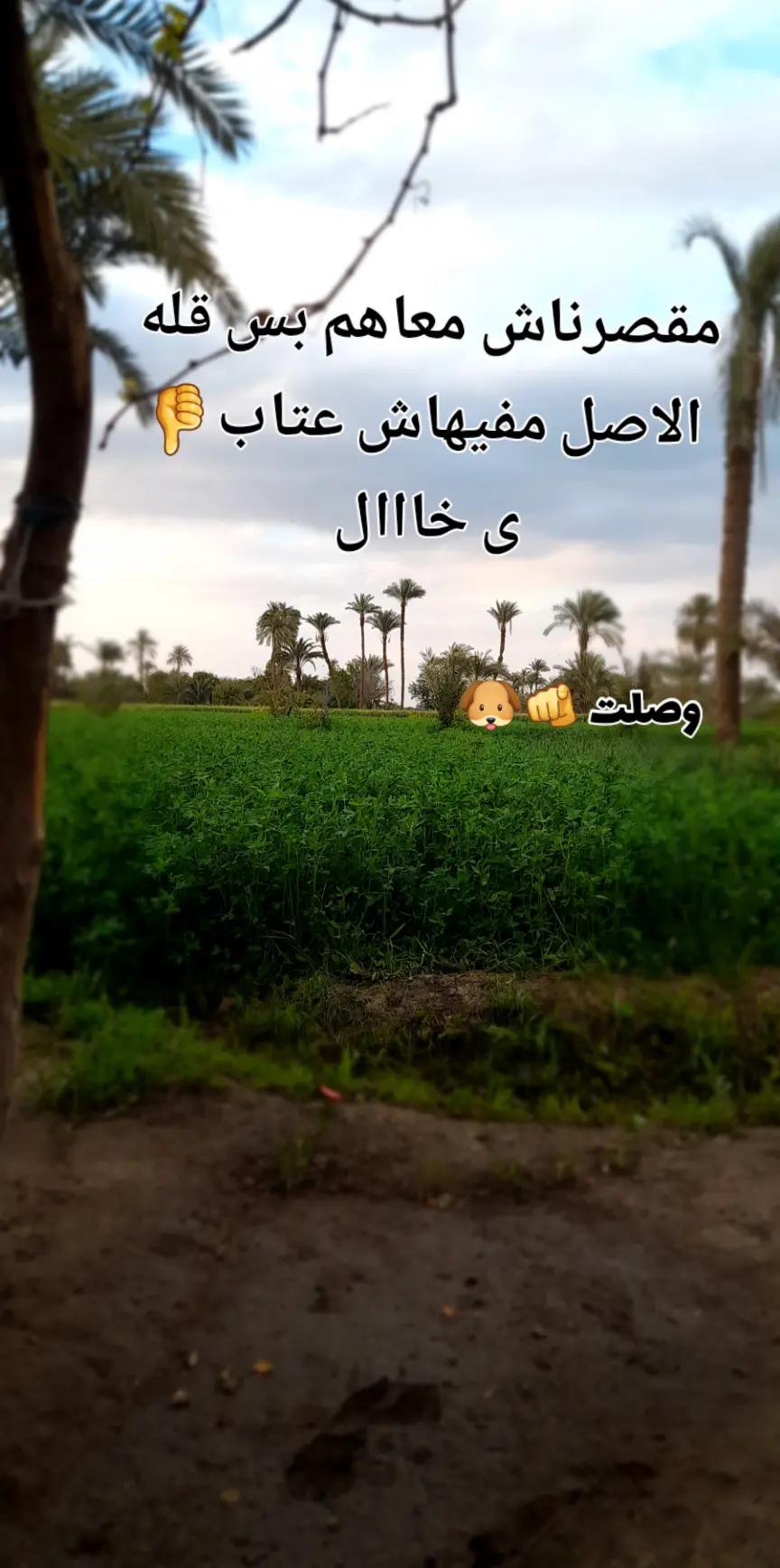 @♕(عشاق عصام صاصا) ♕