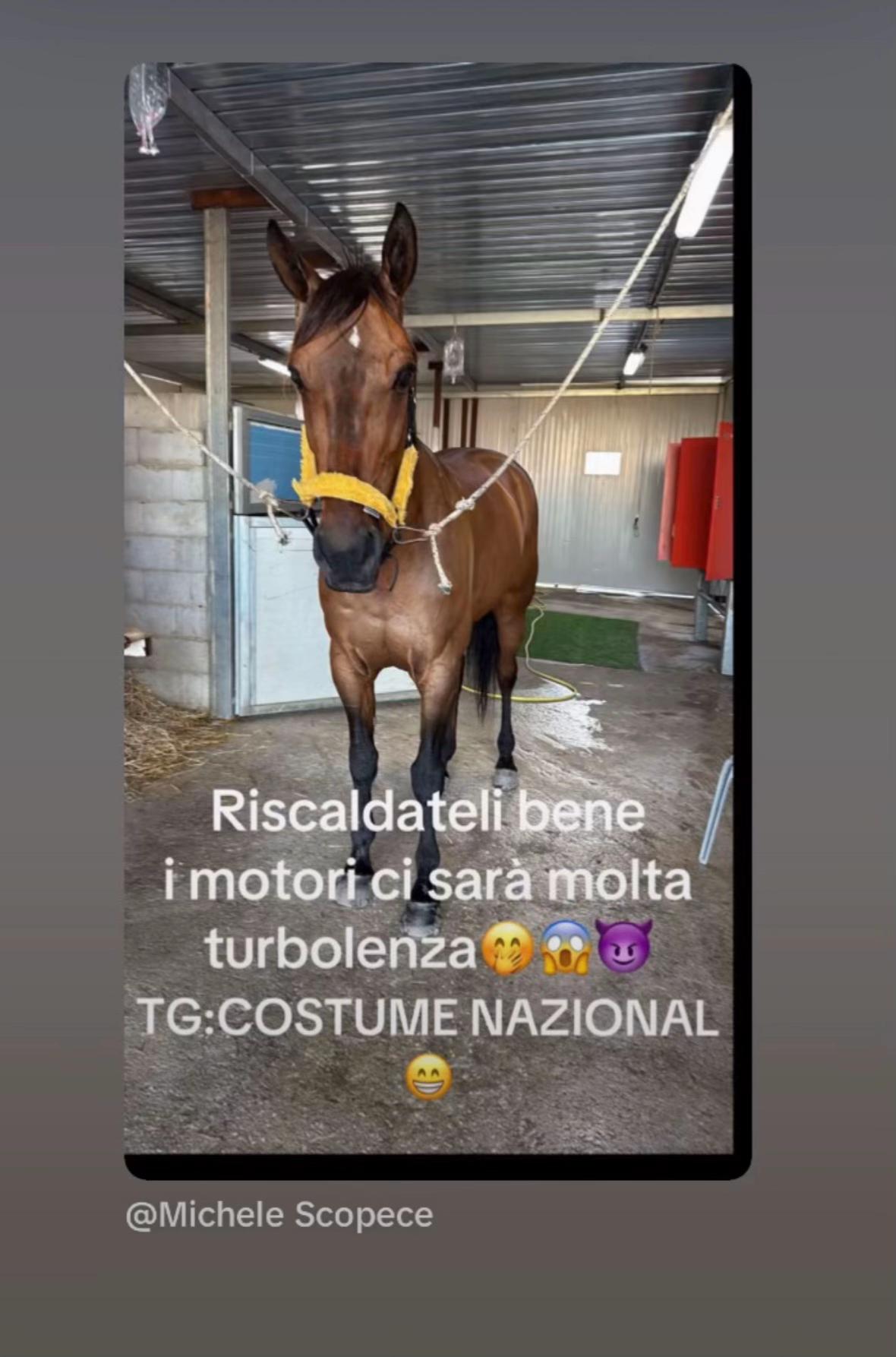 @ale_kekko_piserchia_28