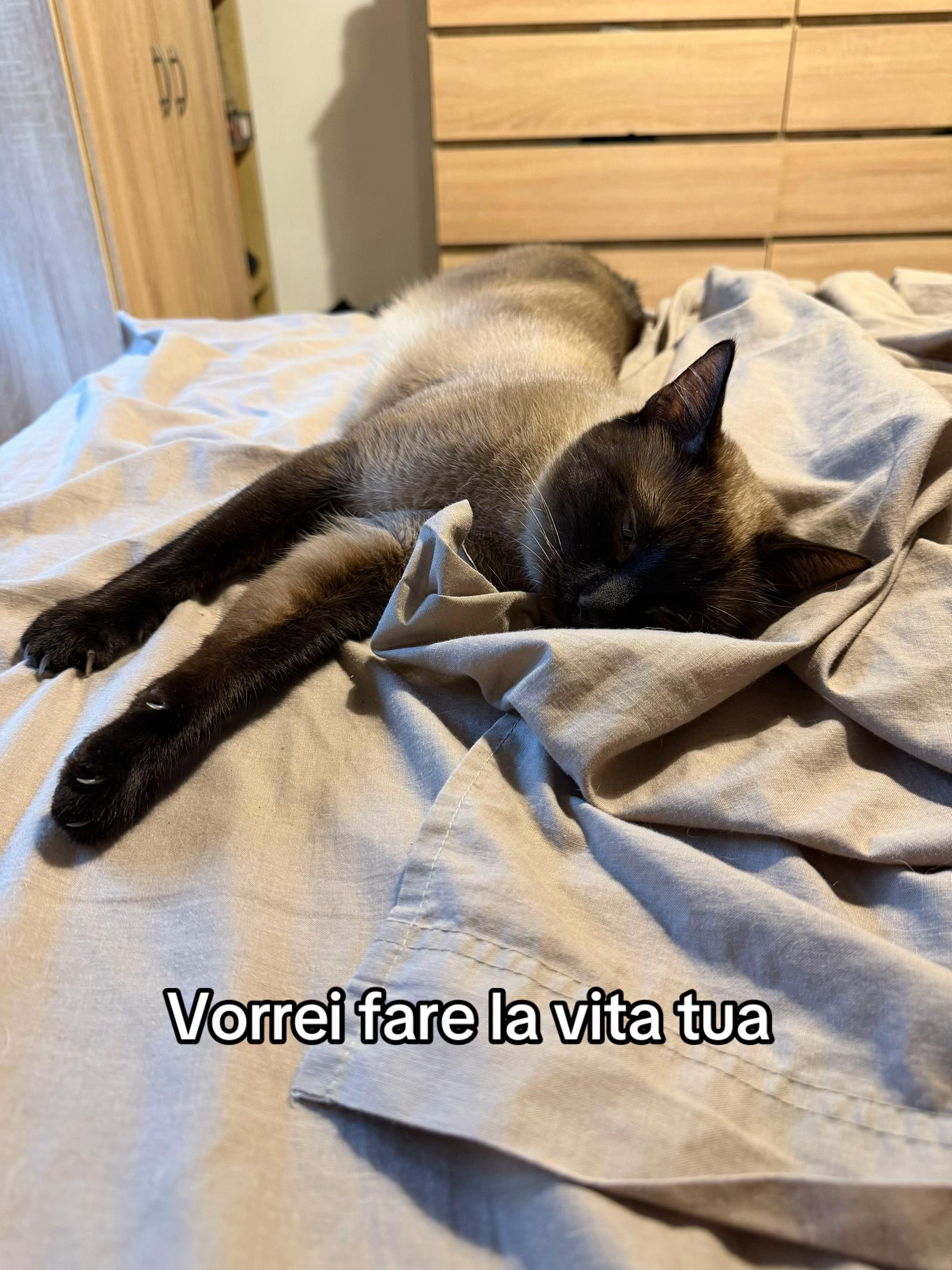 @Esse