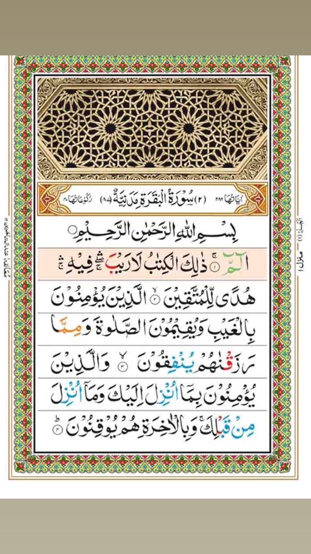 @HafsaMuslim
