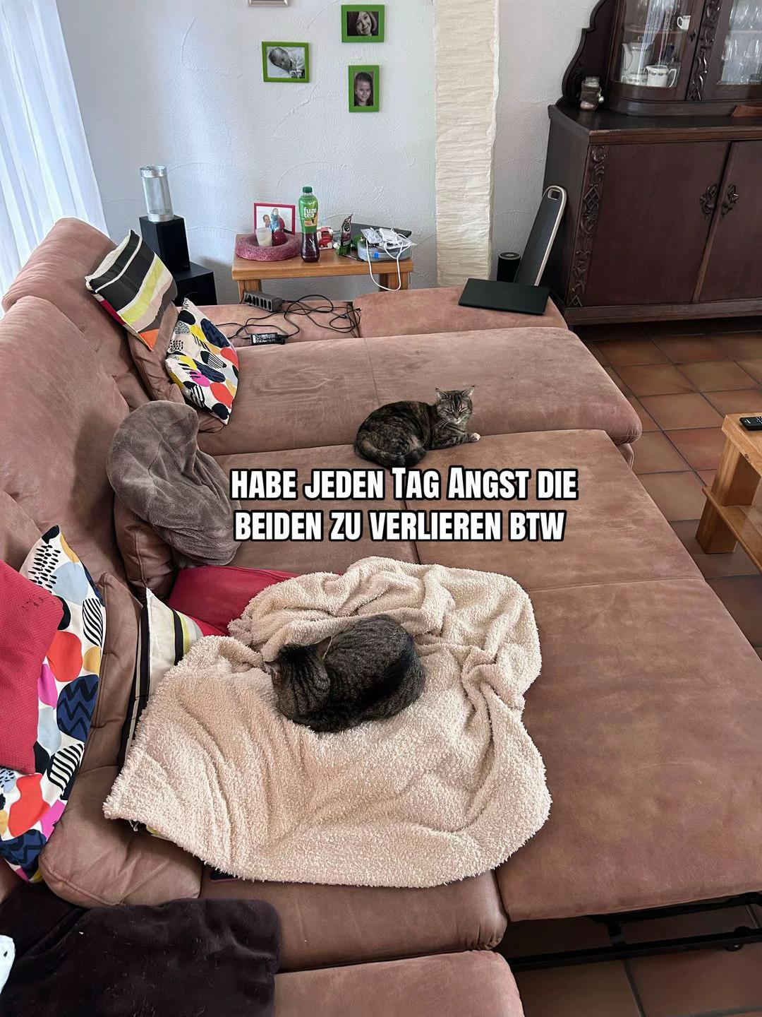 @⭐️paula⭐️