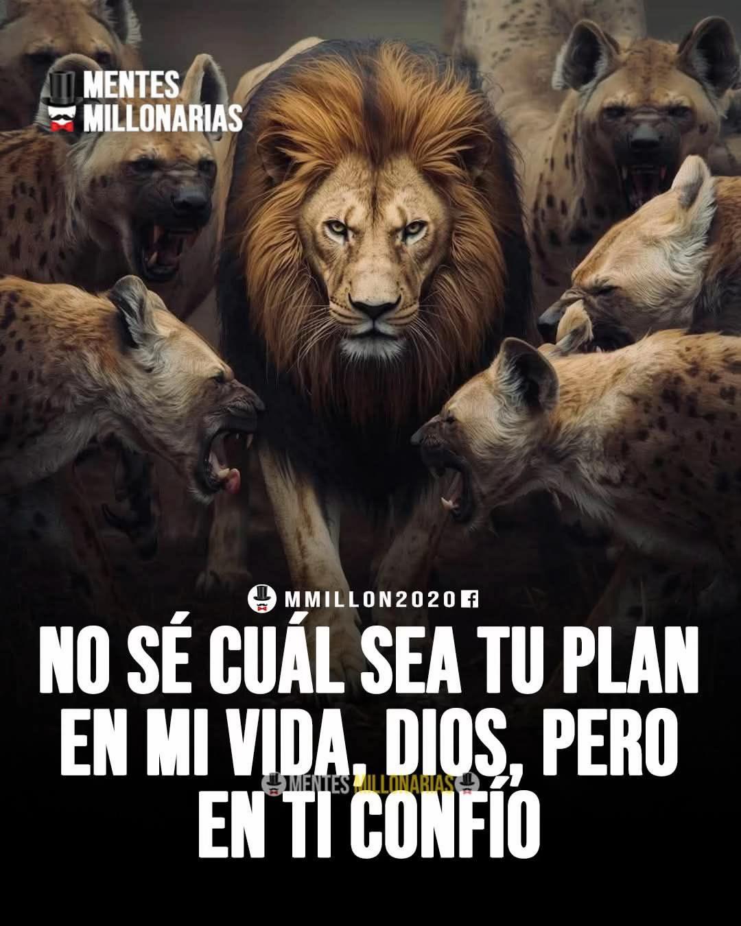 @Luzdedios8888
