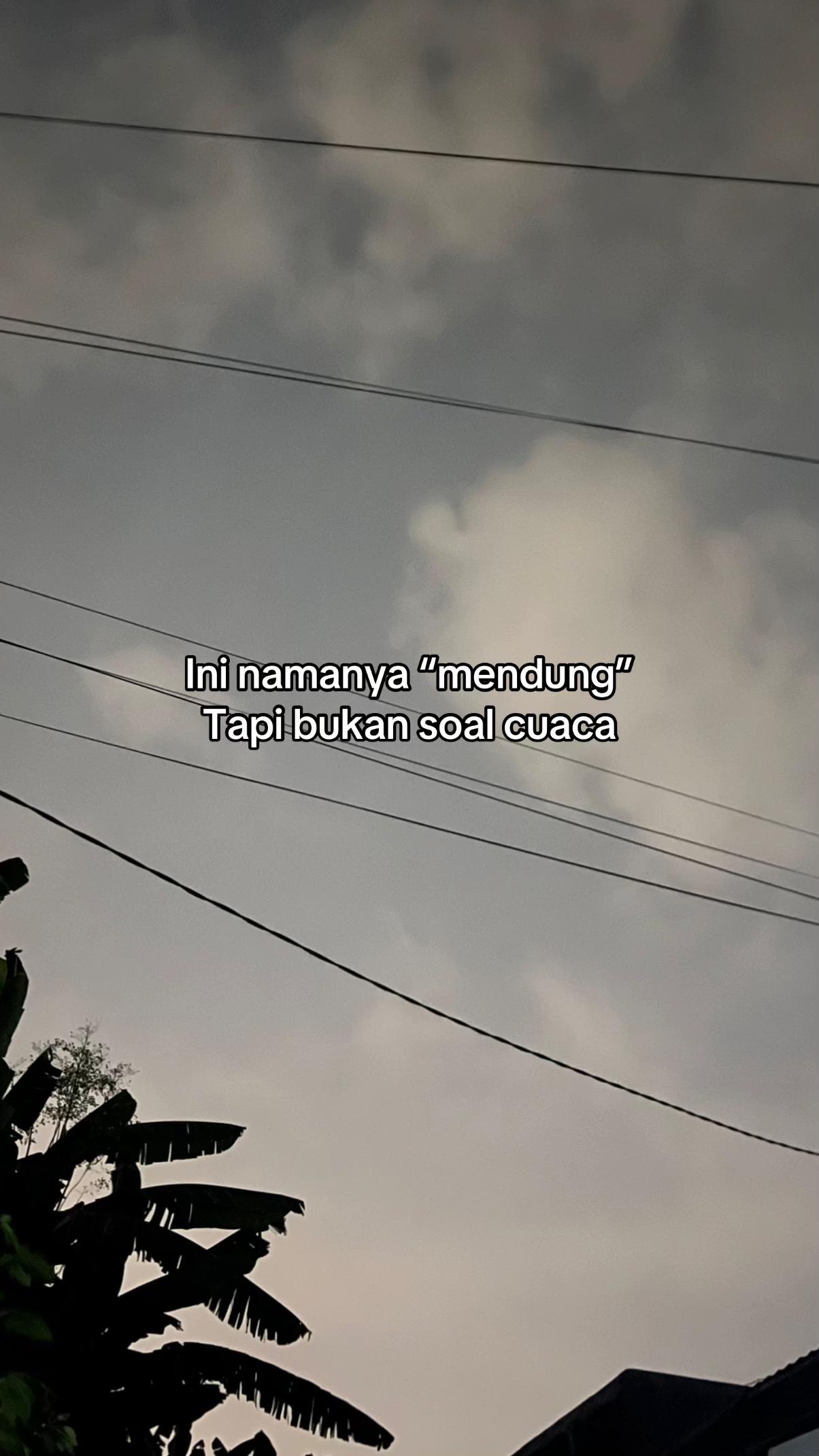 @Ay🌱