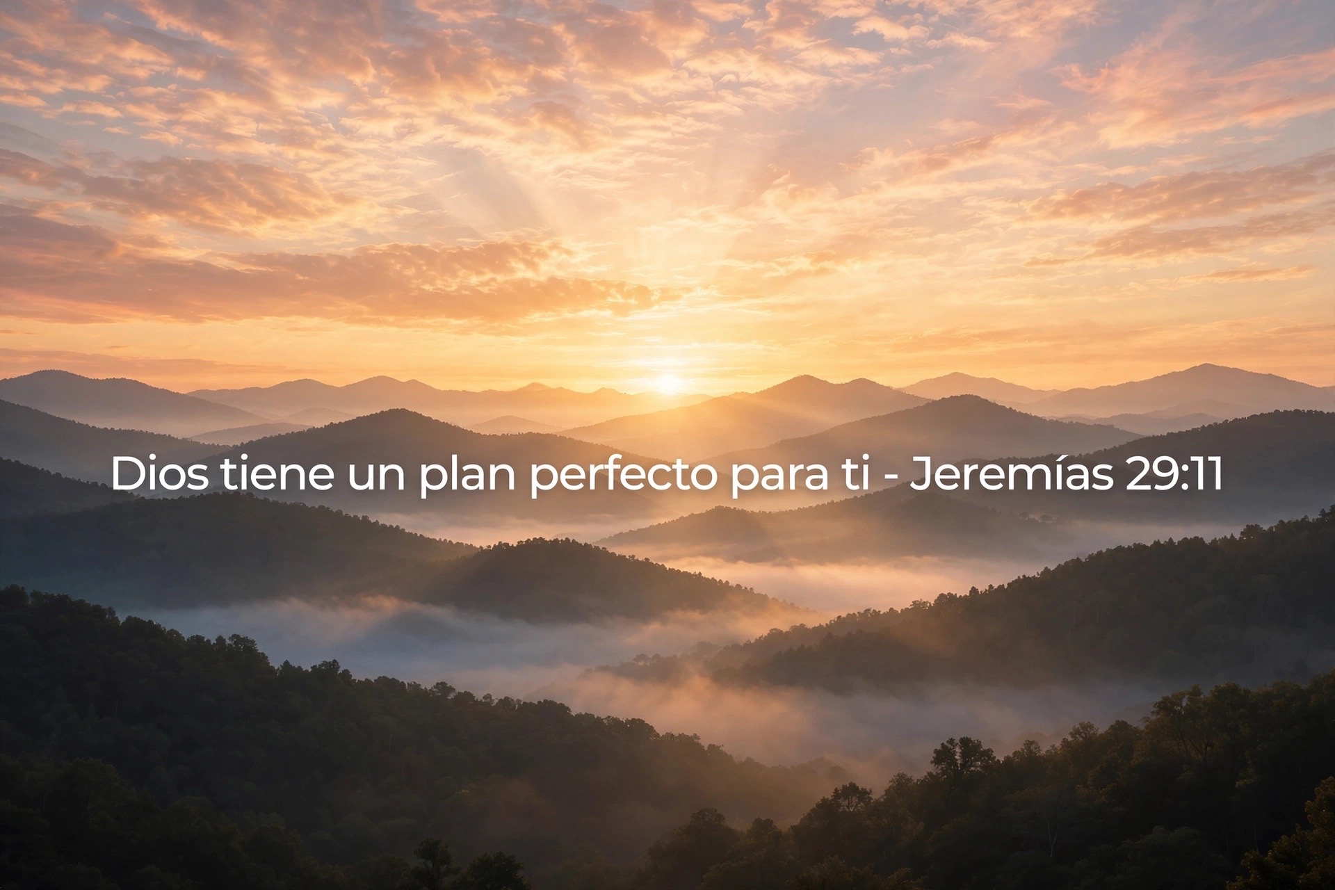 @Pedro Montiel Jr