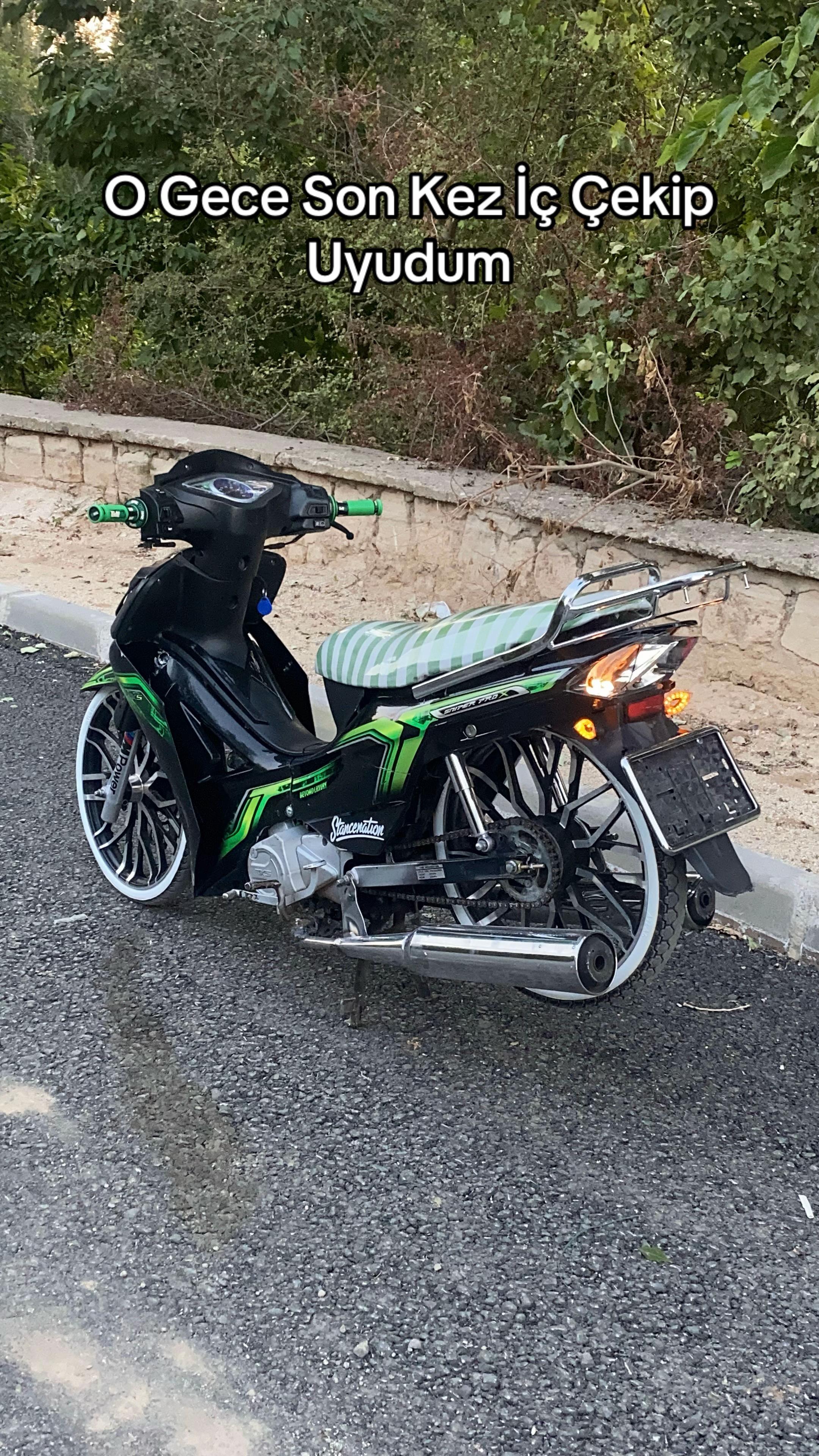 @Kütükk🐊